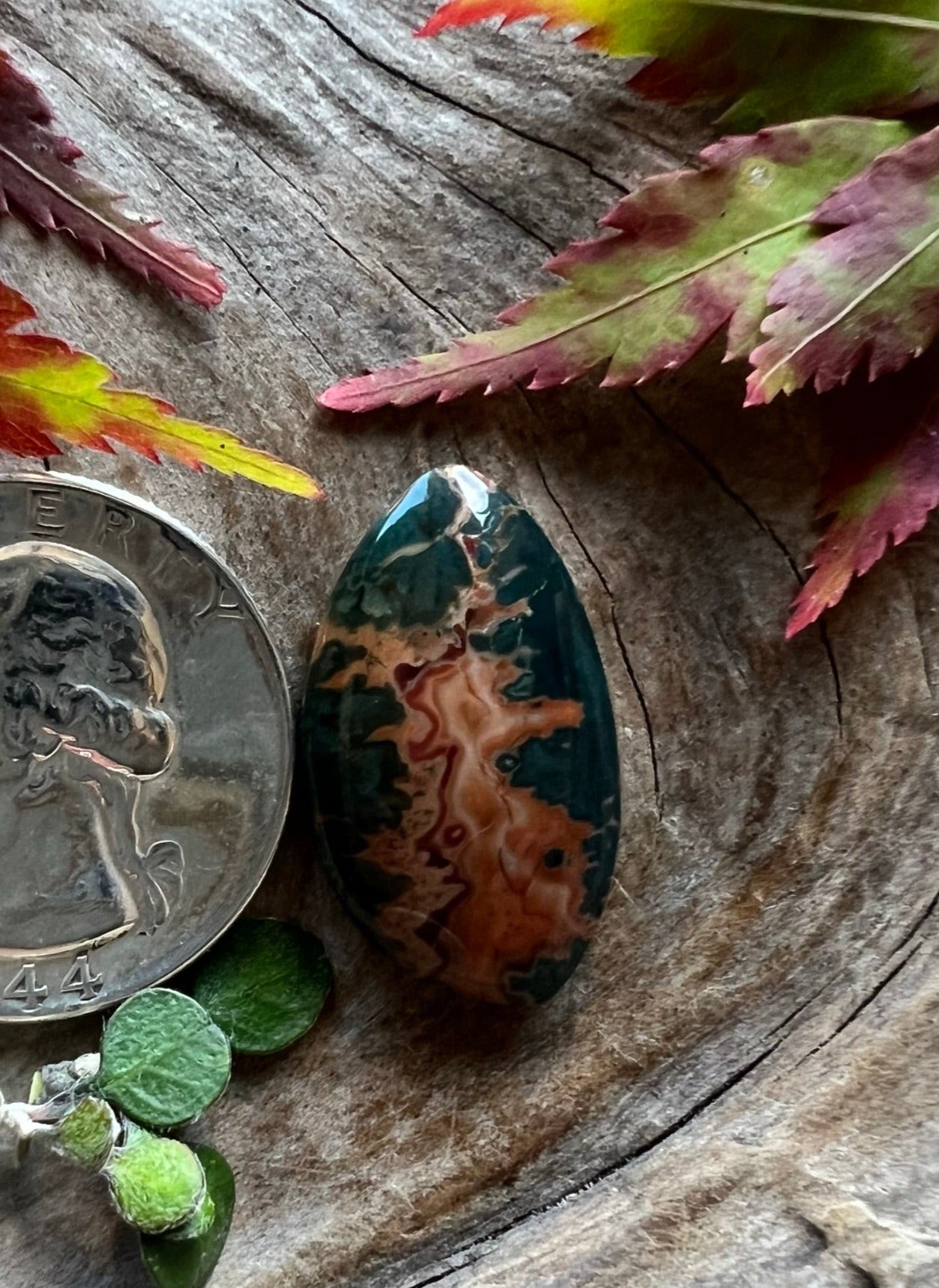 Mean Green Seam Jasper ~ Idaho ~ Orange/Green