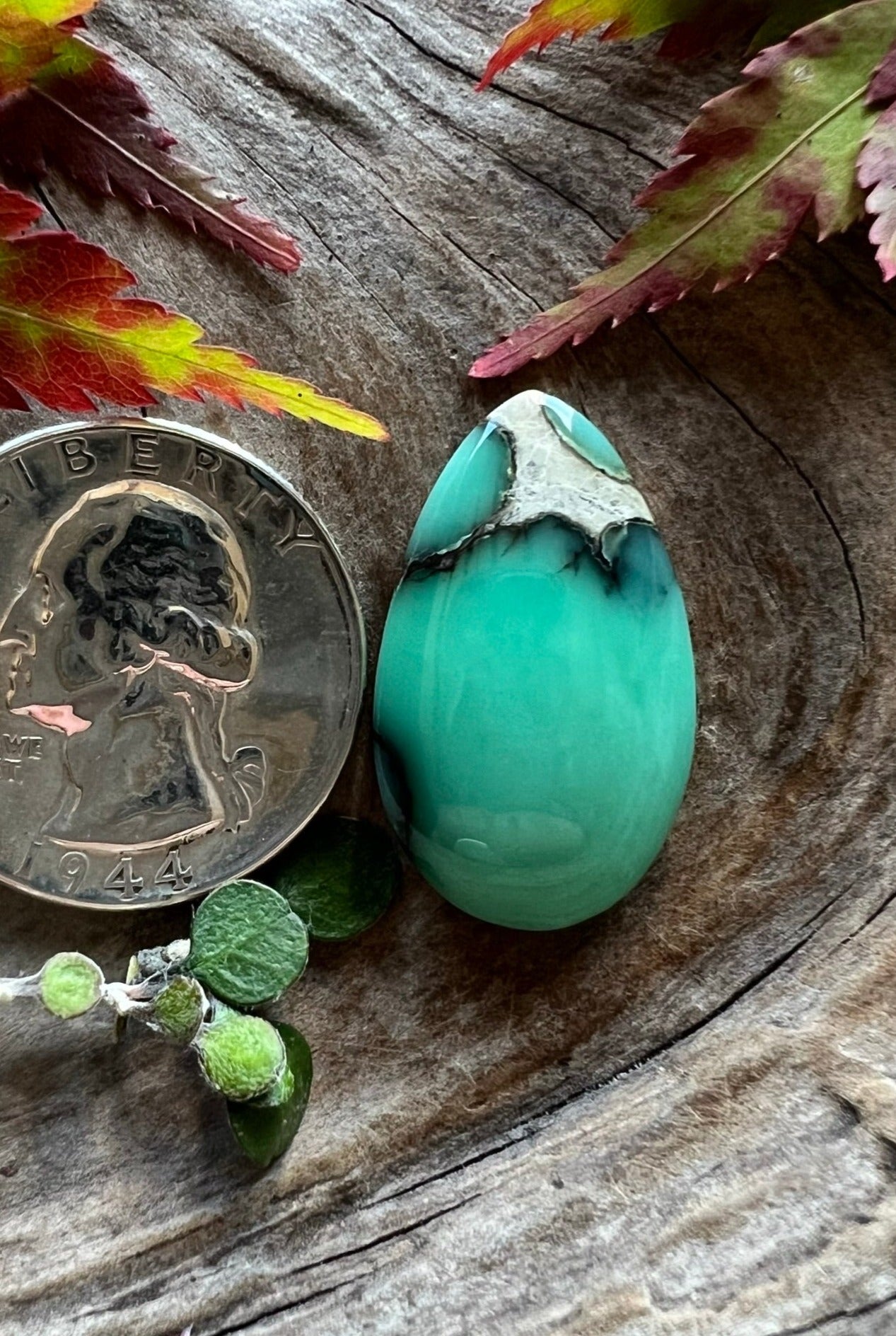 Desert Bloom Variscite ~ NV~ Rest In Peace Rodney