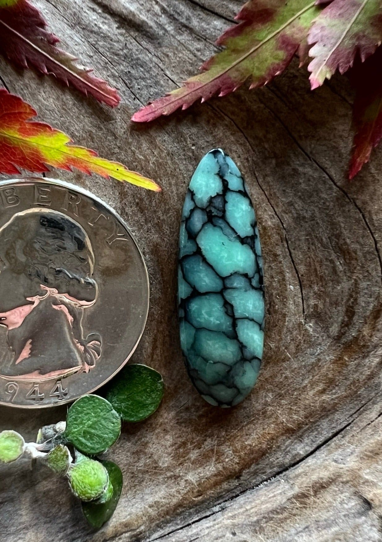 Desert Bloom Variscite ~ Last Batch I got from Rodney