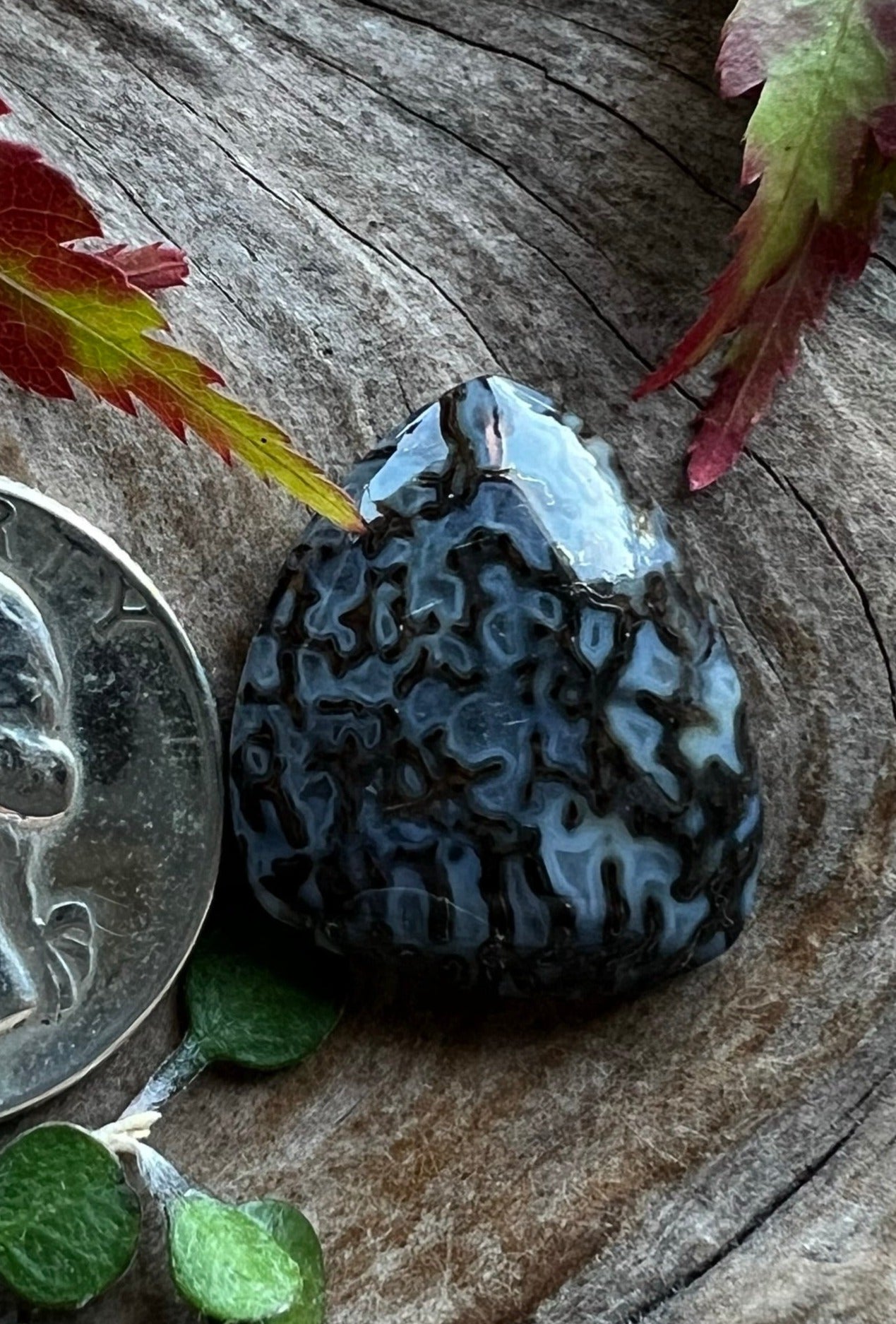 Insane Dino Bone ~ Metallic ~ Montana