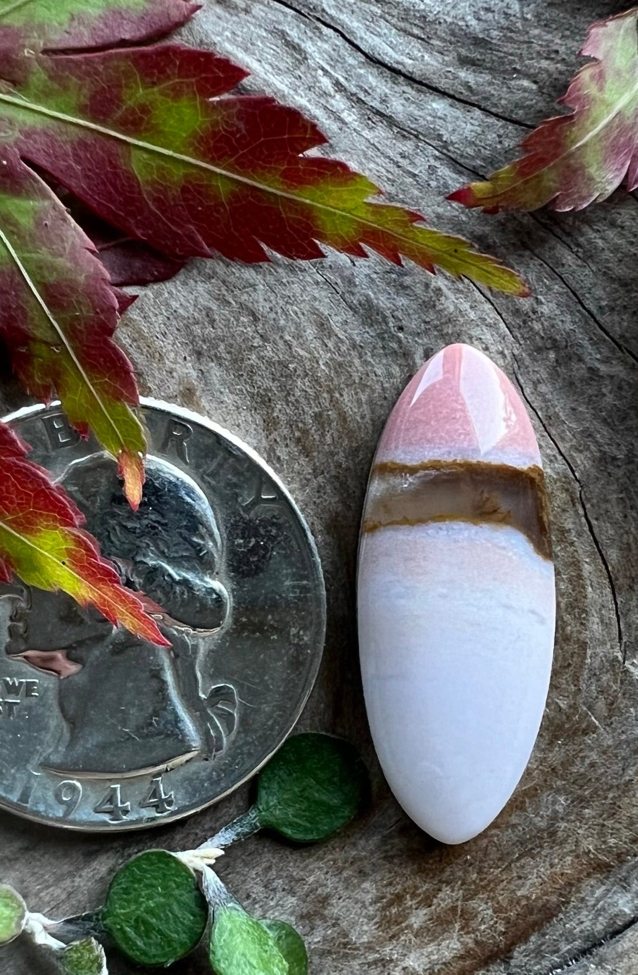 Oregon Sunset Jasper ~ So good!!!!