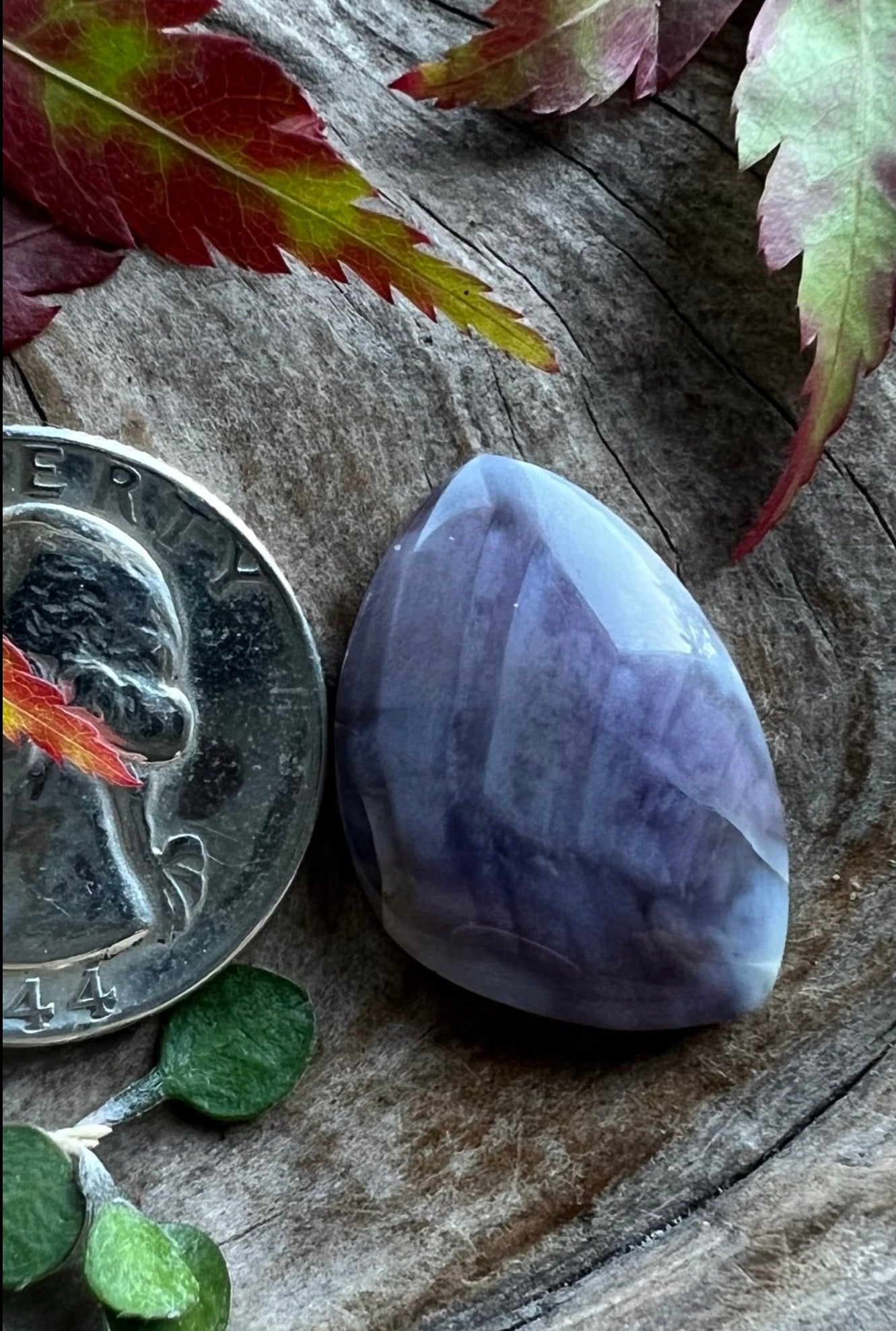 Oregon Sunset Jasper ~Purple Agate Healed fracture