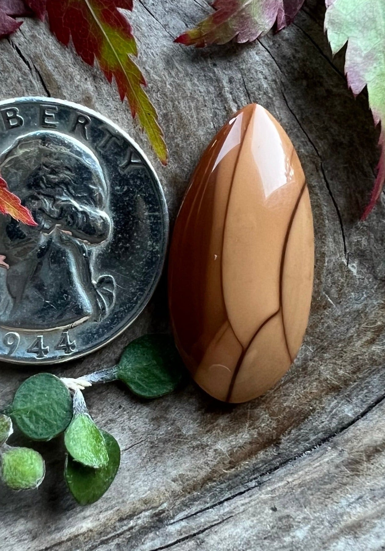 Bruneau Jasper ~ Idaho