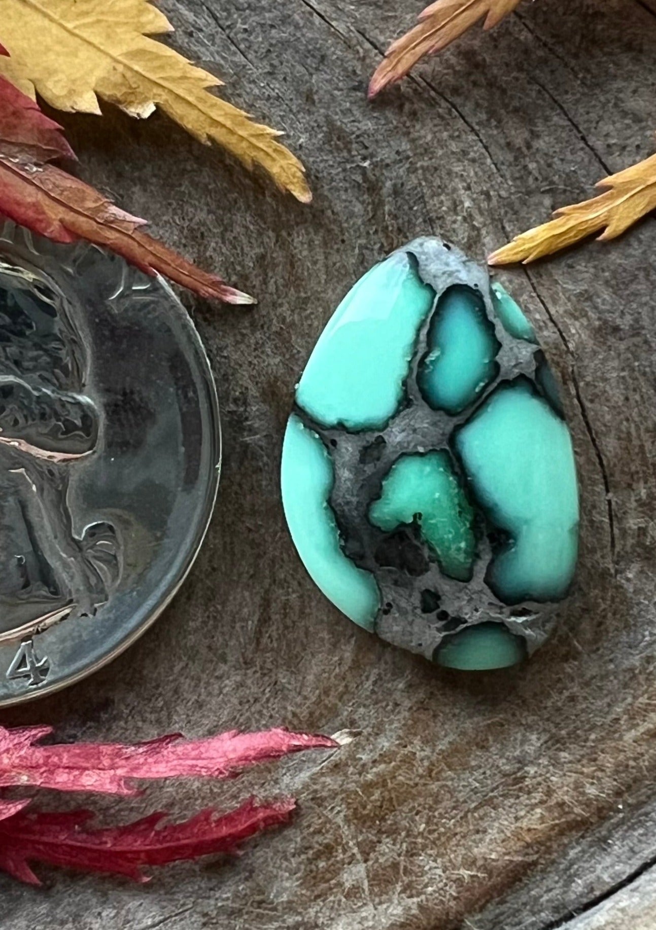 Coveted Calypso Variscite ~ Nevada