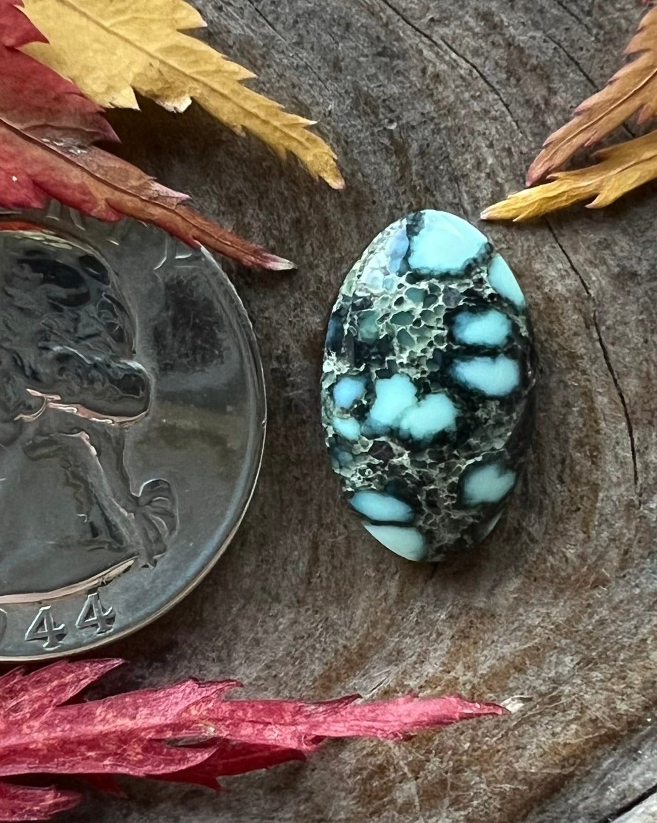 Coveted Calypso Variscite ~ Nevada
