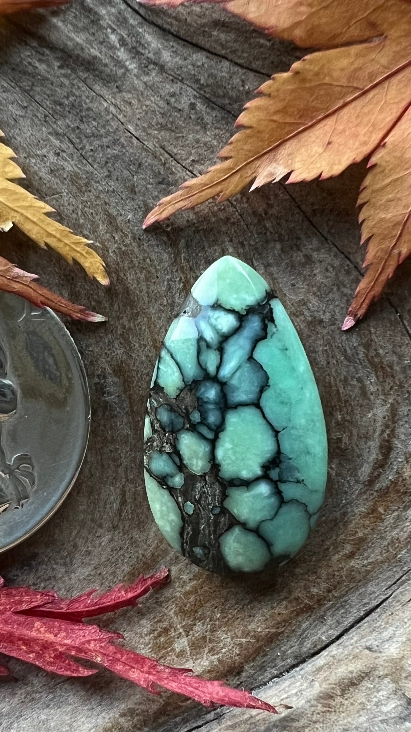 Desert Bloom Variscite ~ BIG webbed beauty