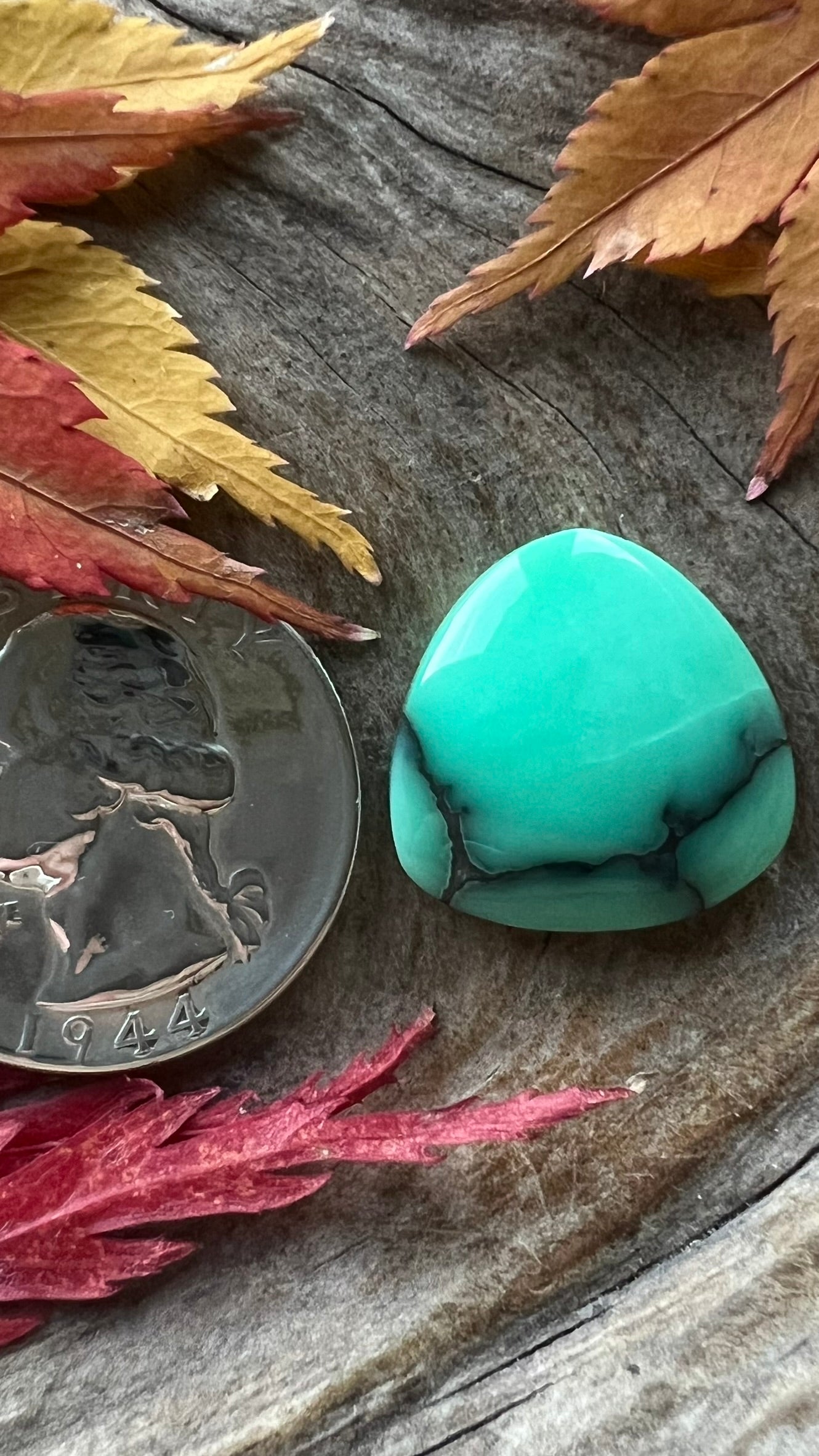 Desert Bloom Variscite ~ natural healed fracture