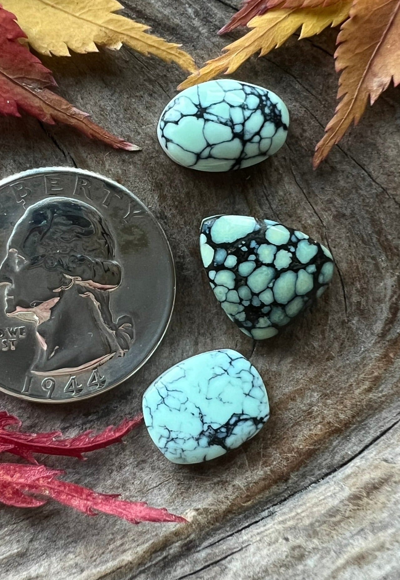 Desert Bloom/Colina Verde/Emerald Basin Variscite Trio