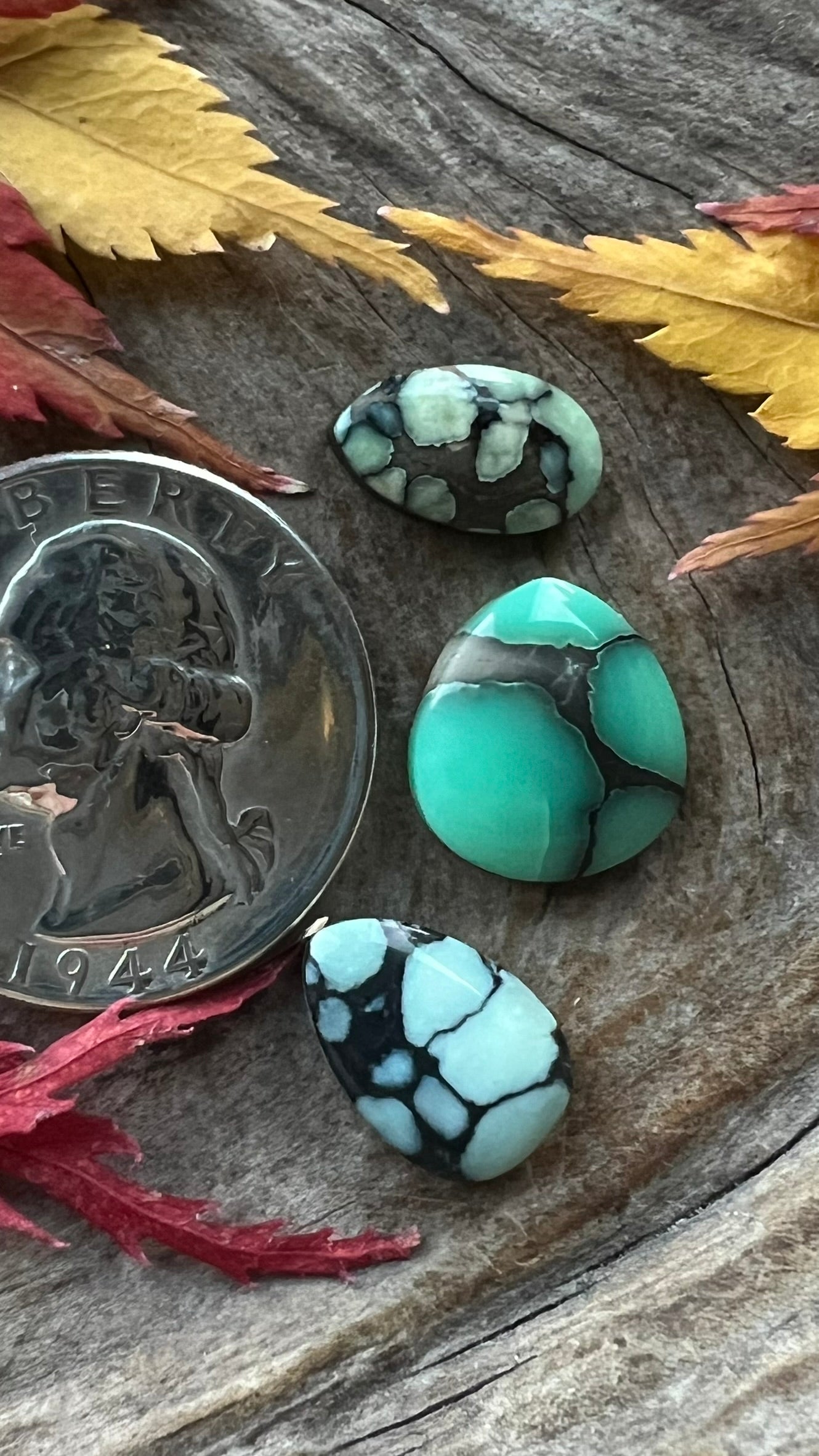 Desert Bloom Variscite Trio ~ Flavors!!