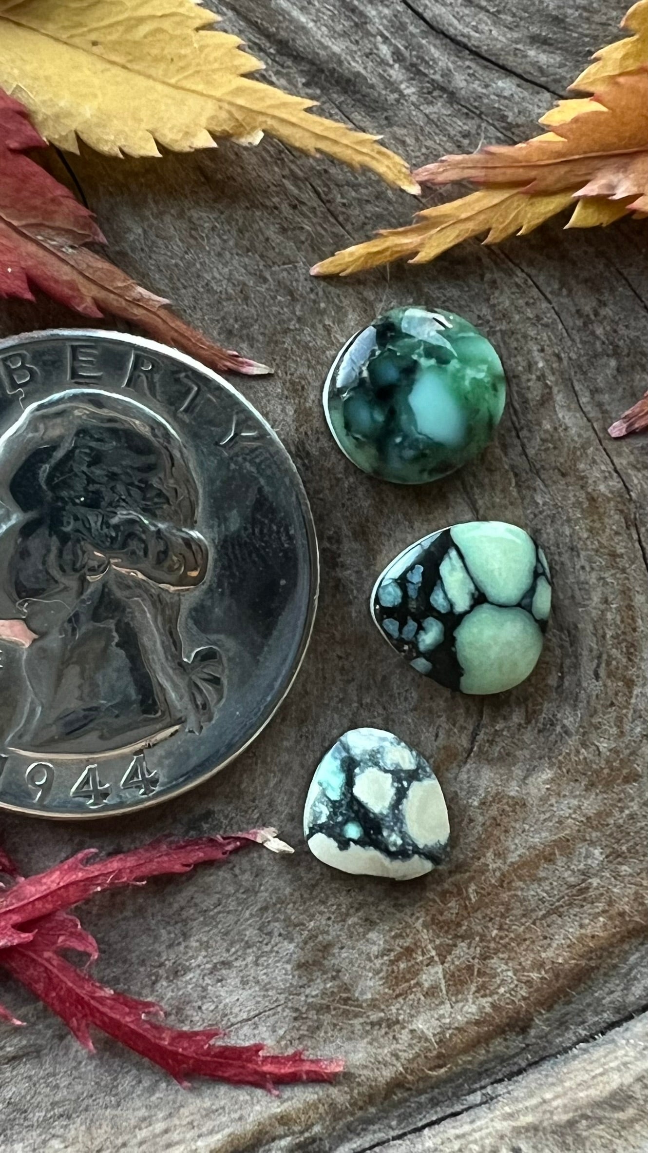 Vista Grande/Desert Bloom/New Lander Variscite Trio