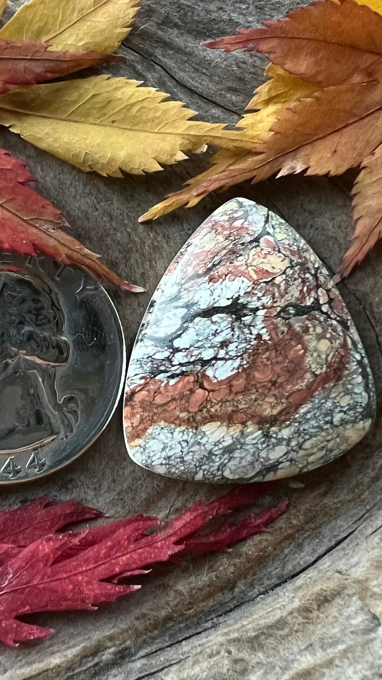 Golden Birch "Turquoise" ~ China ~ BIG & Hard to find