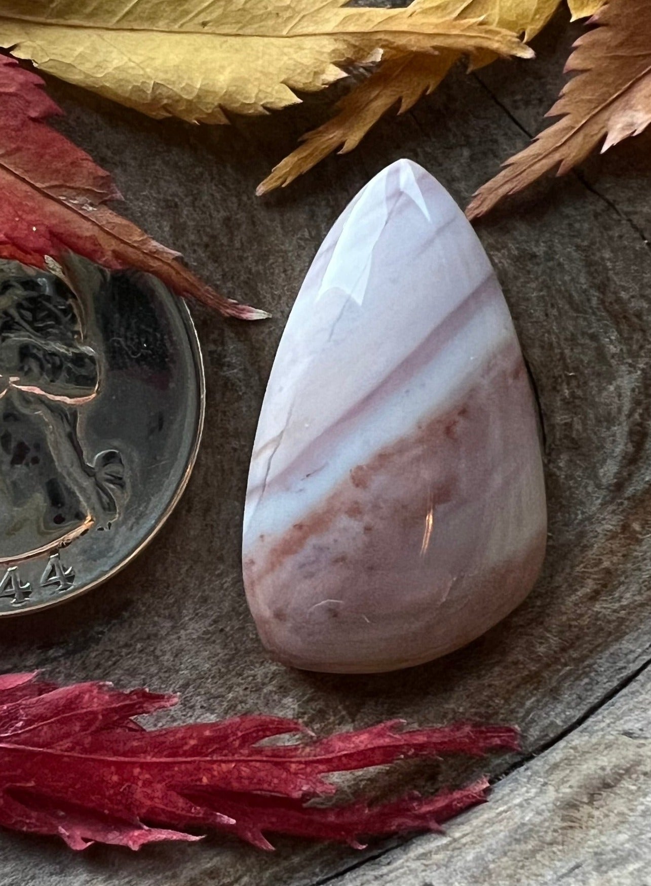 Oregon Sunset Jasper ~ Fruit Stripes Gum