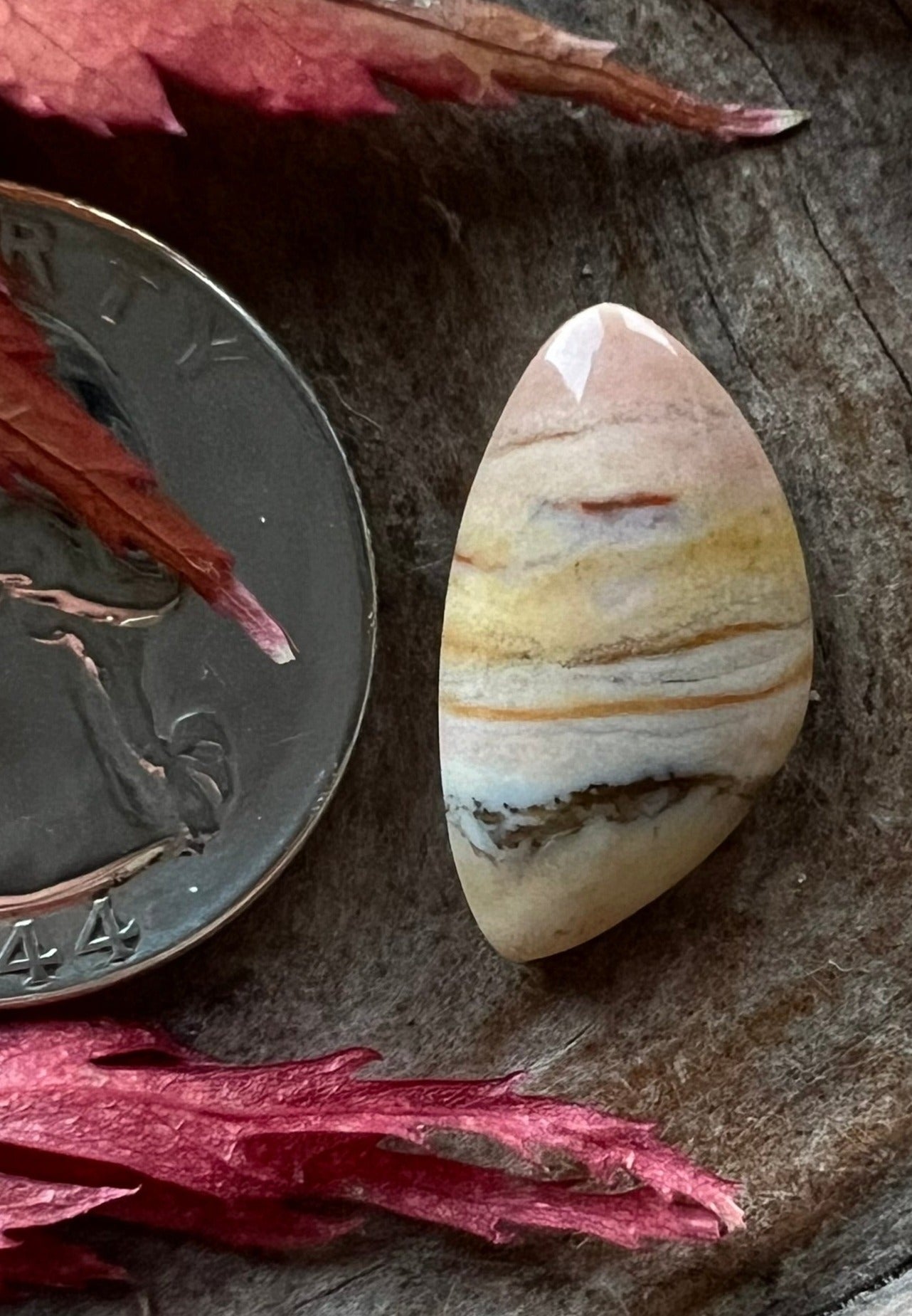 Oregon Sunset Jasper ~ SCHMOLLYCHROME~ So cute