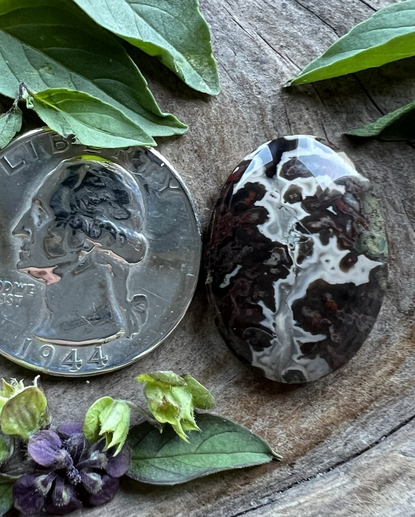 Lava Lamp Seam Agate/Jasper ~ Idaho
