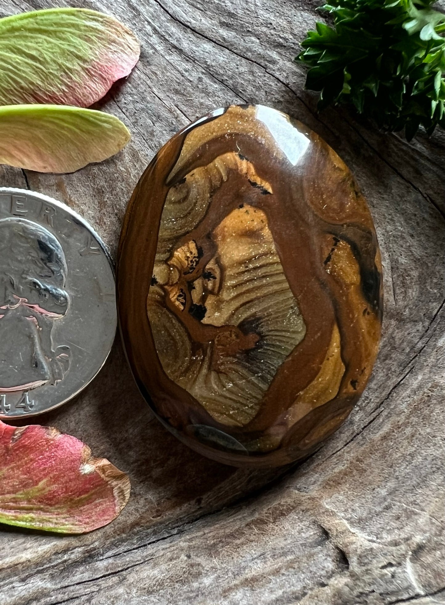 Royal Sahara Jasper ~ Egypt ~ Huge