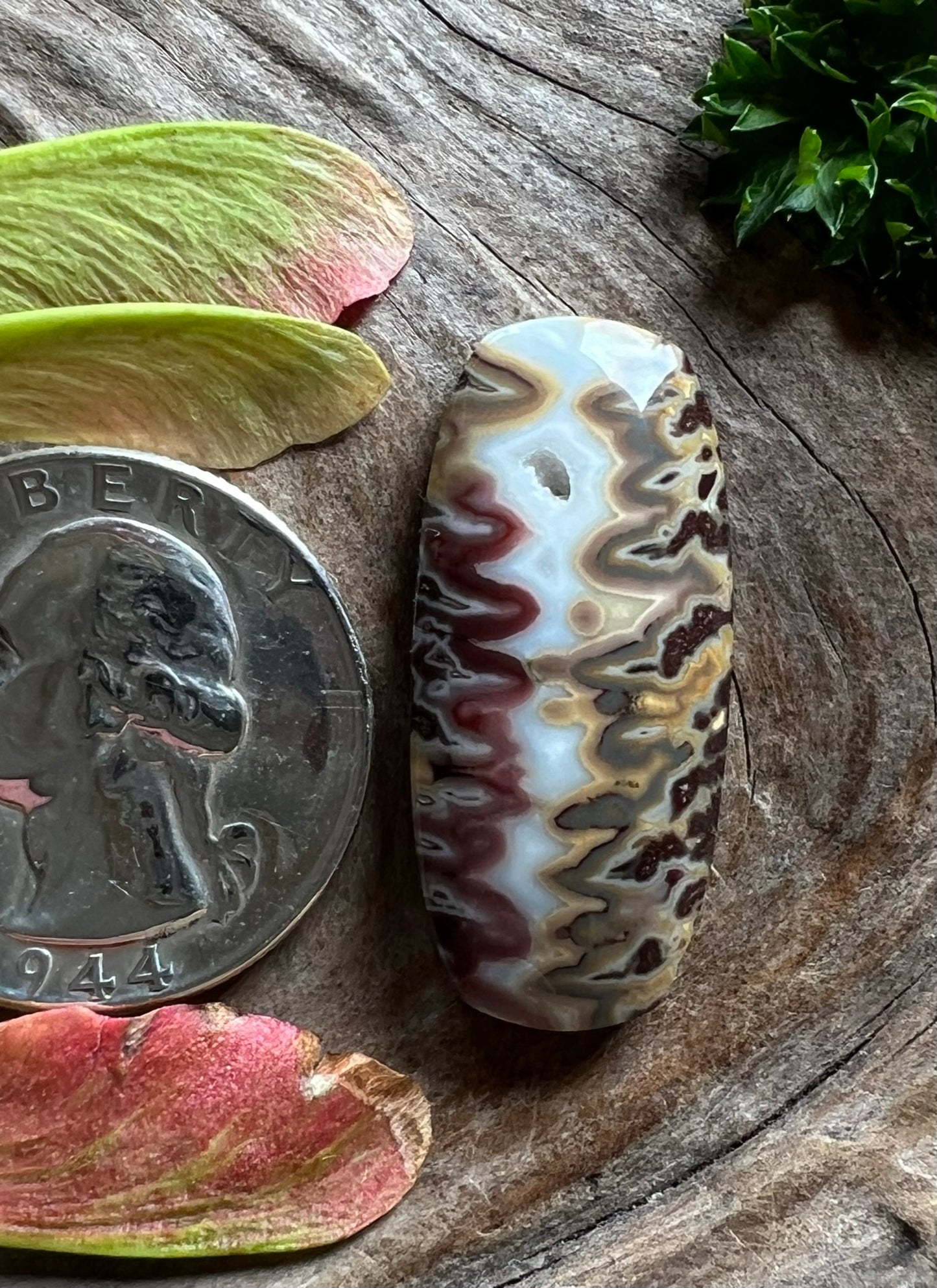 Cheiftain Seam Agate ~ Idaho ~ cool Druzy pocket