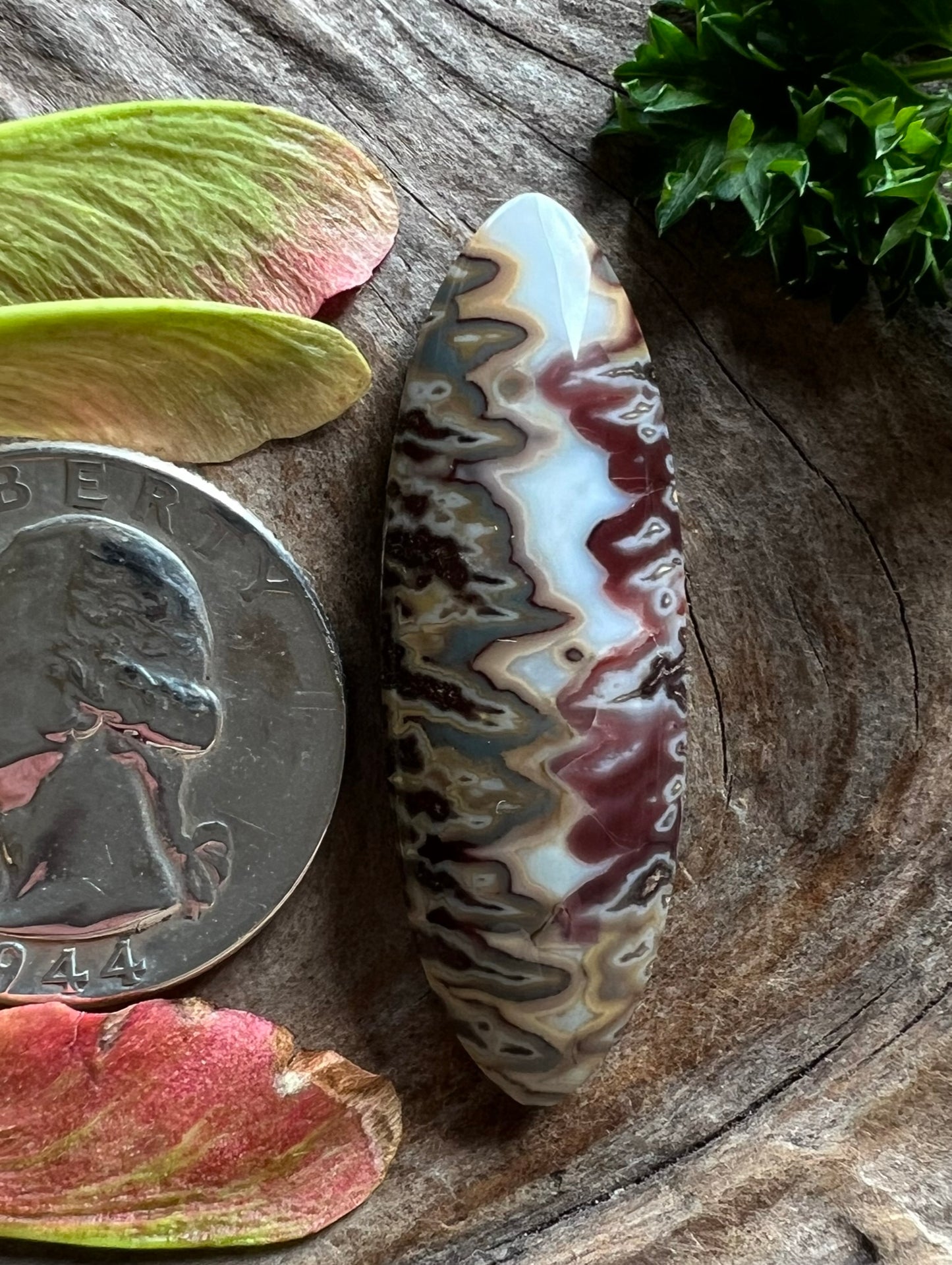 Cheiftain Seam Agate ~ Idaho
