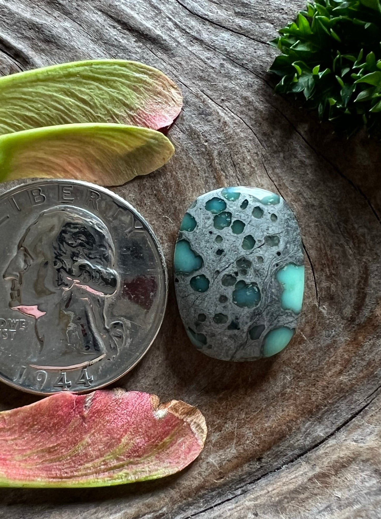 Calypso Variscite ~ Nevada