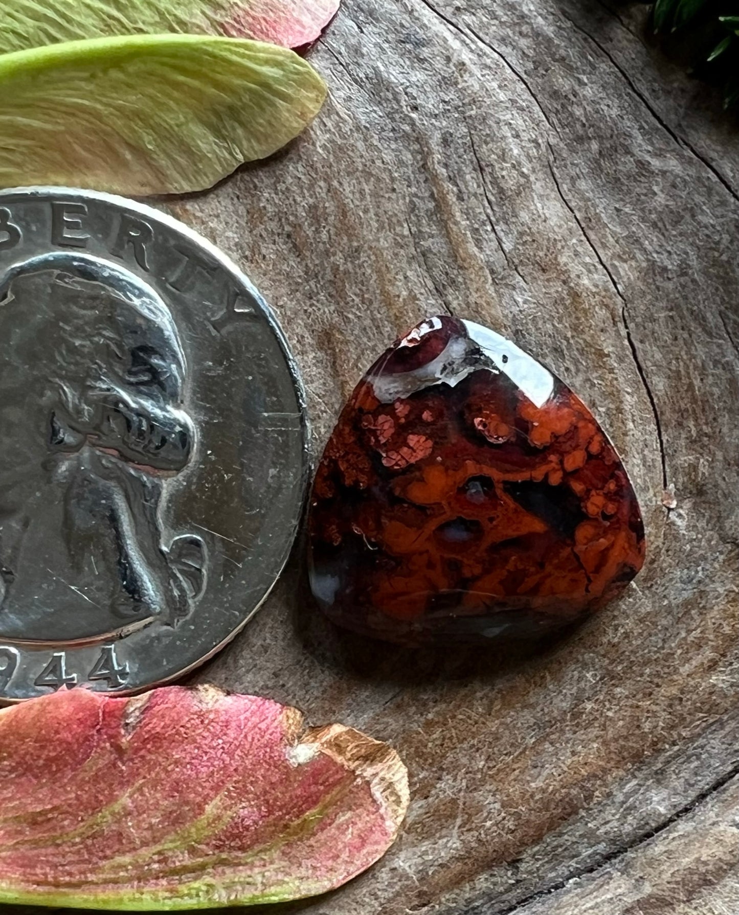 Lion's Blood Agate ~ Washington