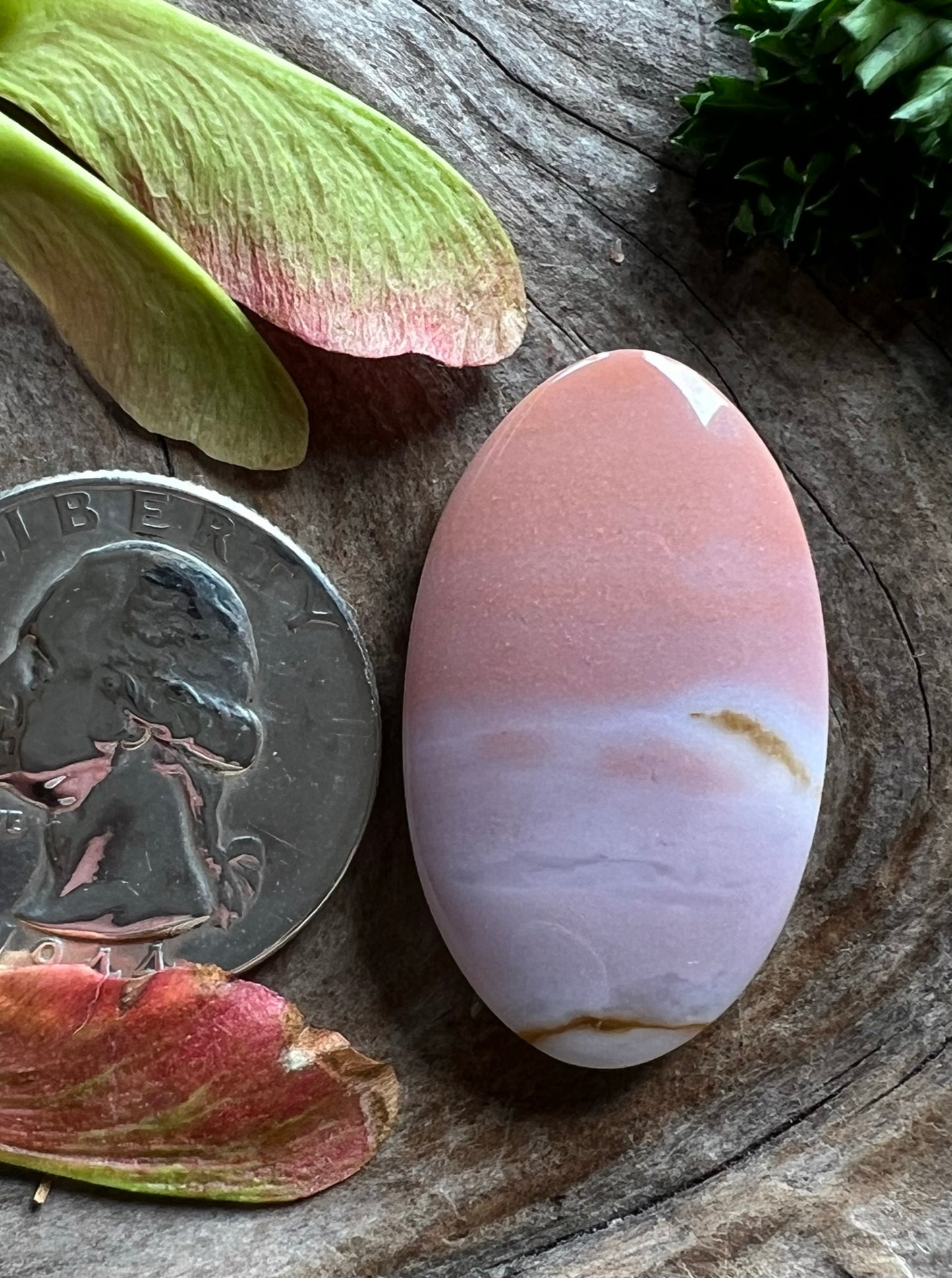 Oregon Sunset Jasper ~ Purple Pink Ombre