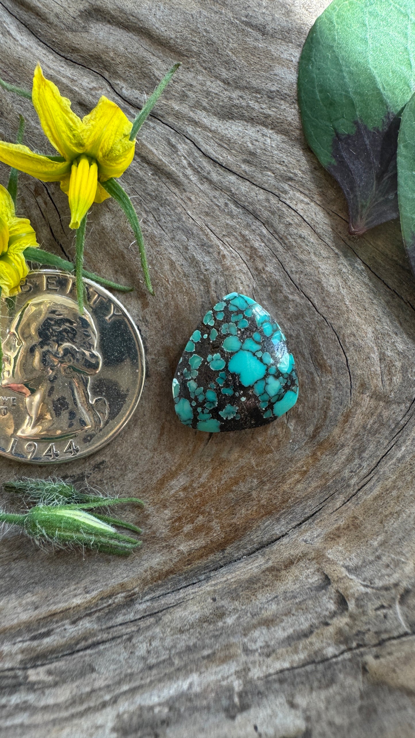 Cloud Mountain Turquoise