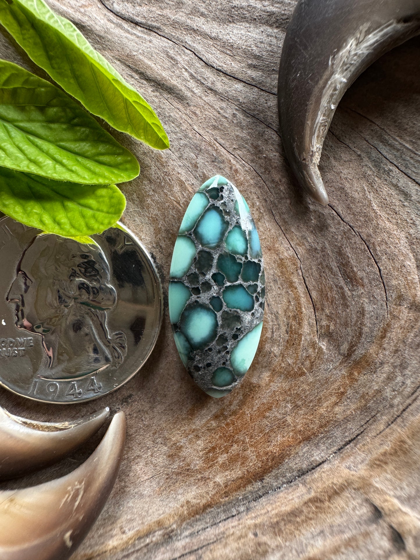Calypso Variscite - nat/bckd