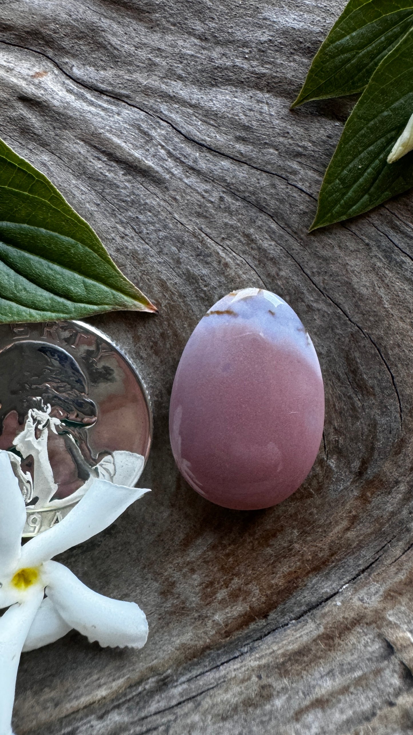 Oregon Sunset Jasper - Deep Pink/Purple