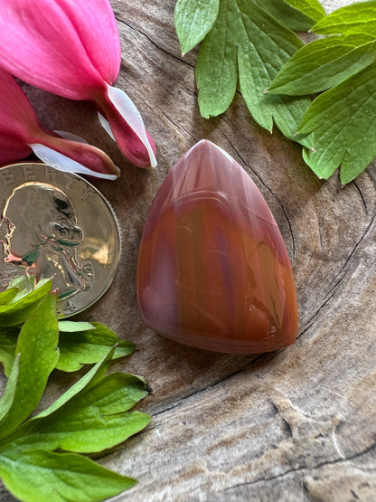Willow Creek Jasper - Idaho - Insane coloring - healed fracture