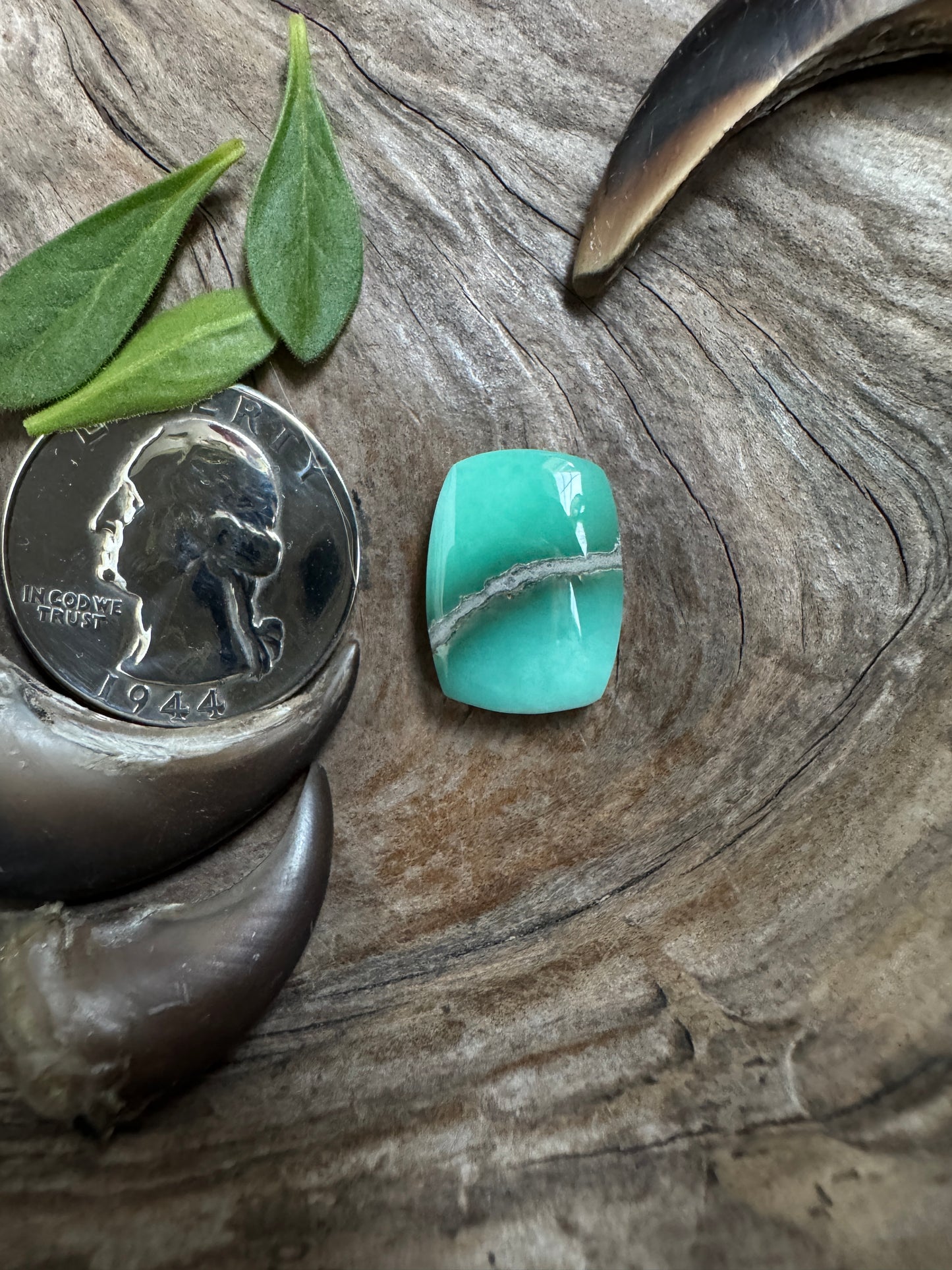 Desert Bloom Variscite (natural)