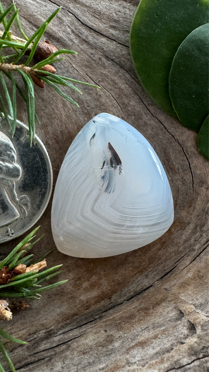 Rare Copco Dendrite Agate - Oregon