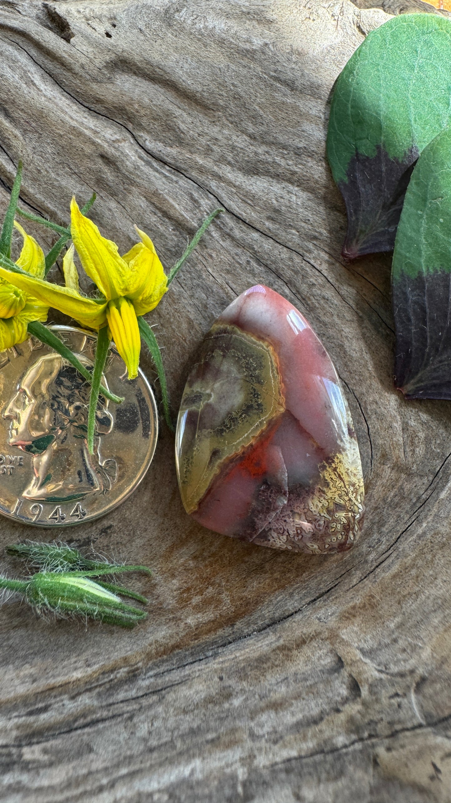 Burro Creek Agate (Big)