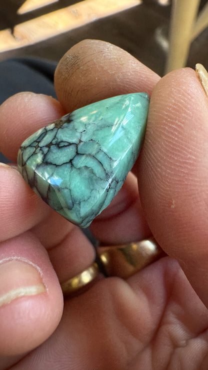 Desert Bloom Variscite - facet edge