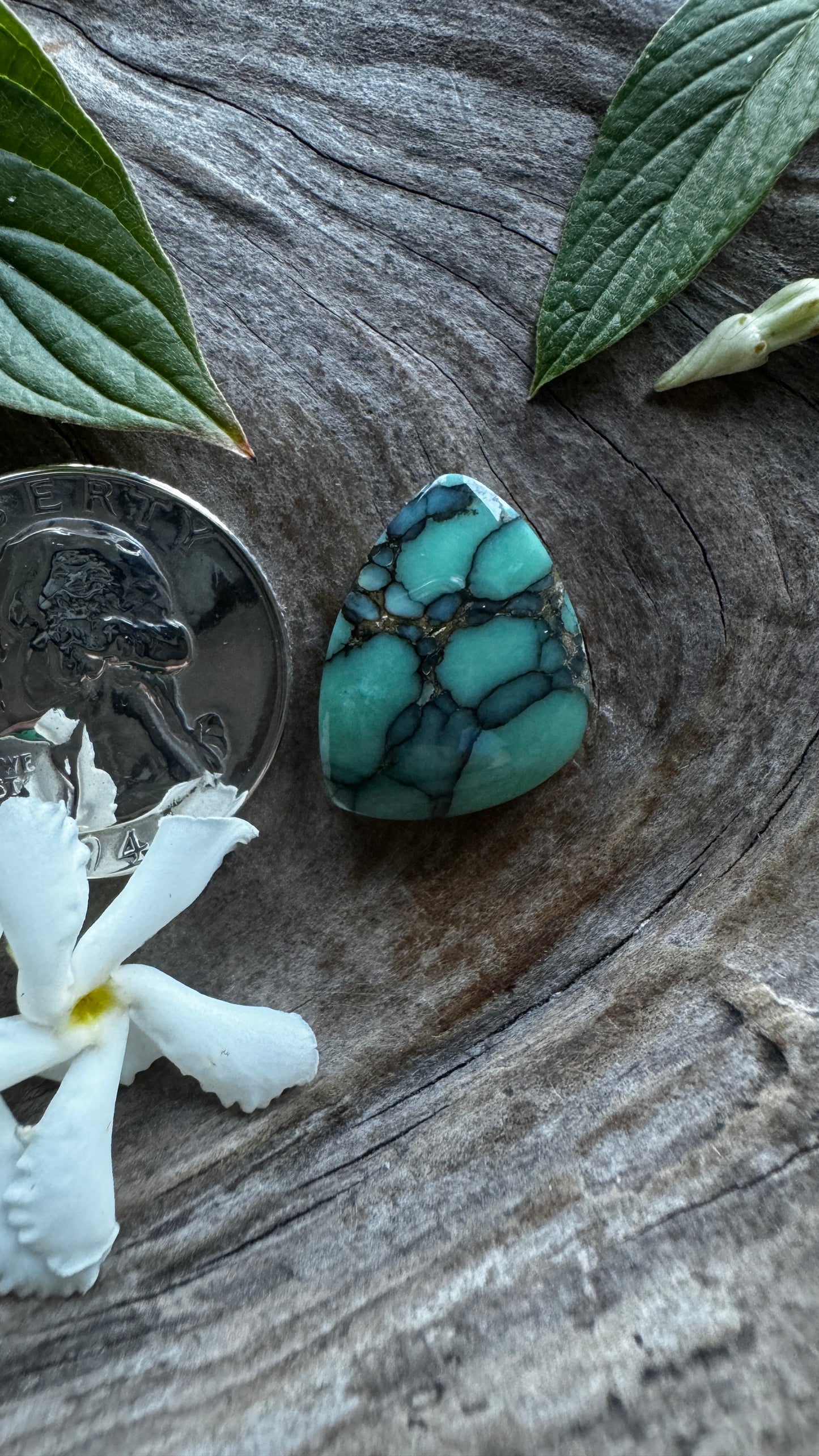 Desert Bloom Variscite -