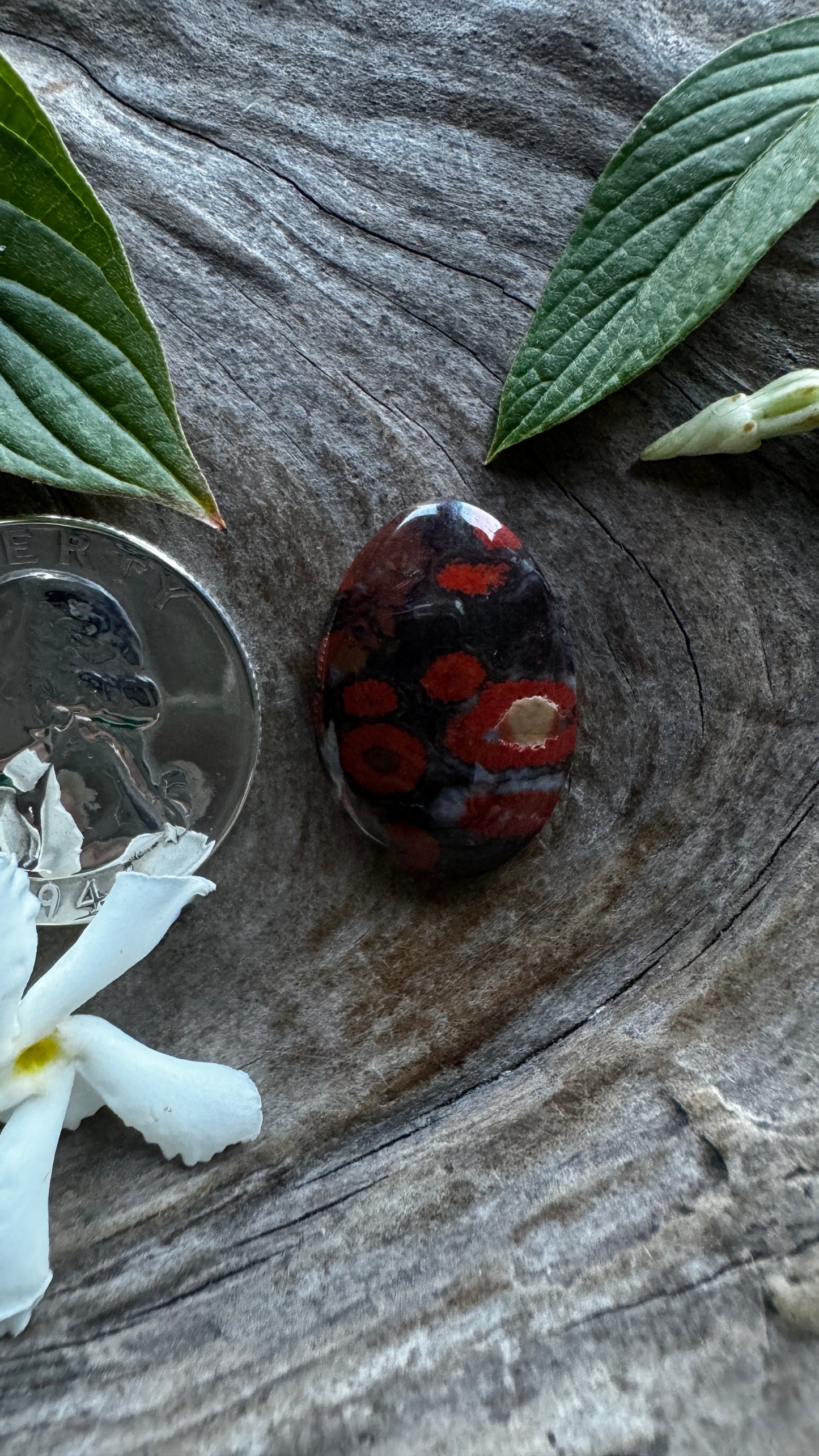 Morgan Hill Poppy jasper (Calif)