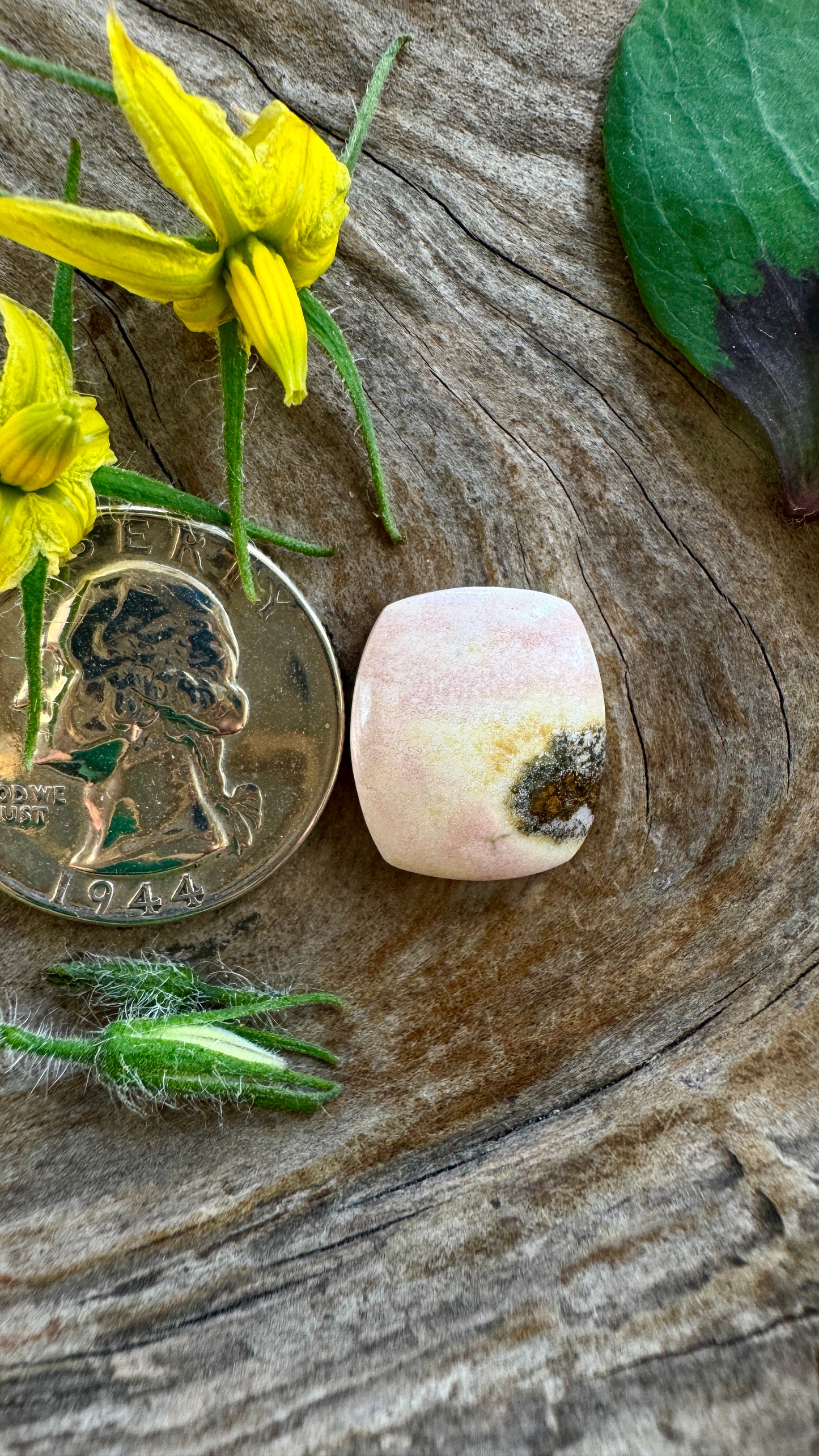 Oregon Sunset Jasper