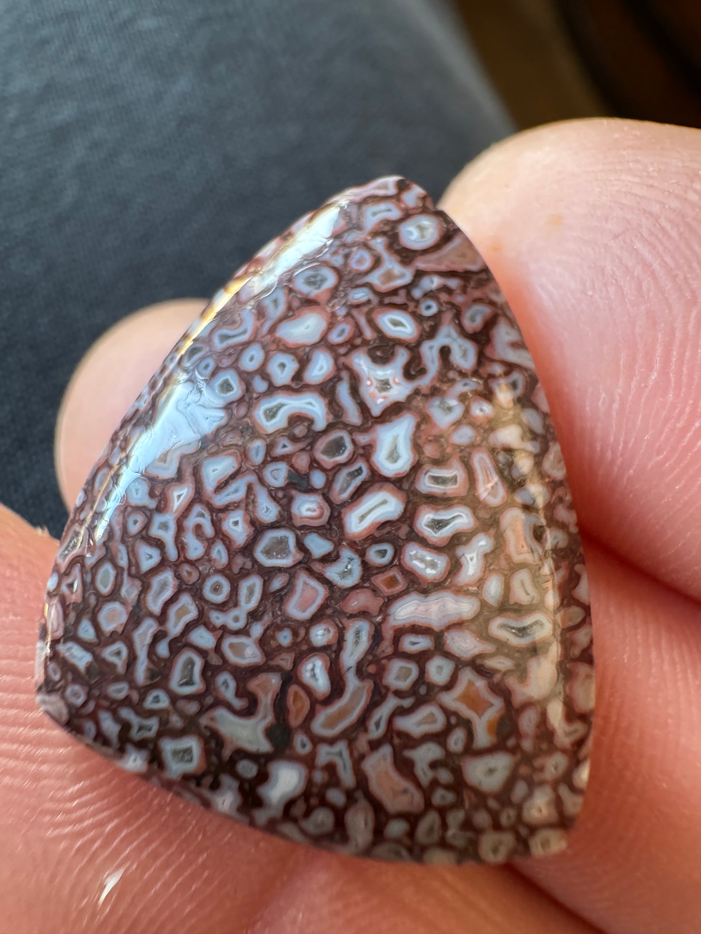 Dino Gem Bone - pinkish/reddish/white/druzy