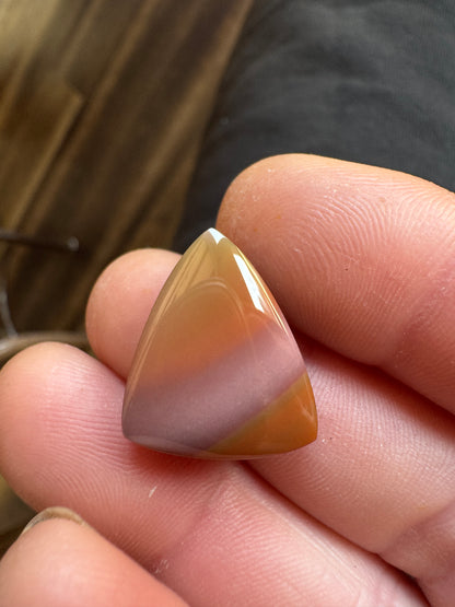 Willow Creek Jasper - Idaho - Insane coloring