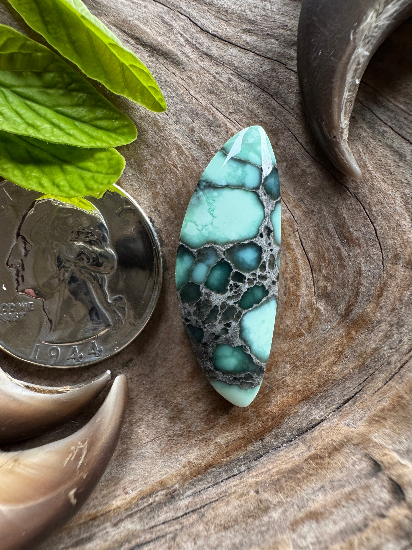 Calypso Variscite - nat/bckd/big/beautiful/baller/bangin