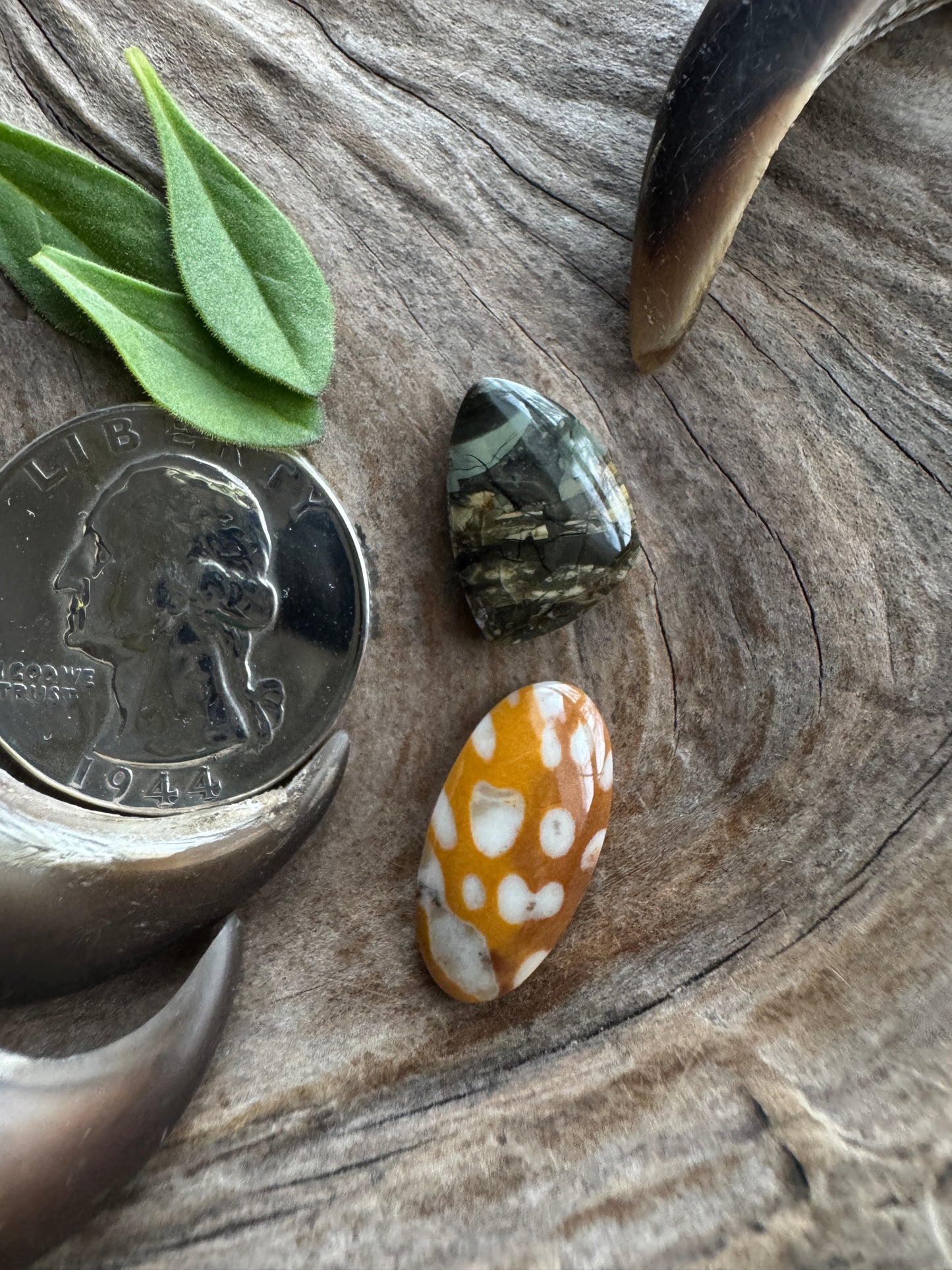 Down River/Fawn Jasper