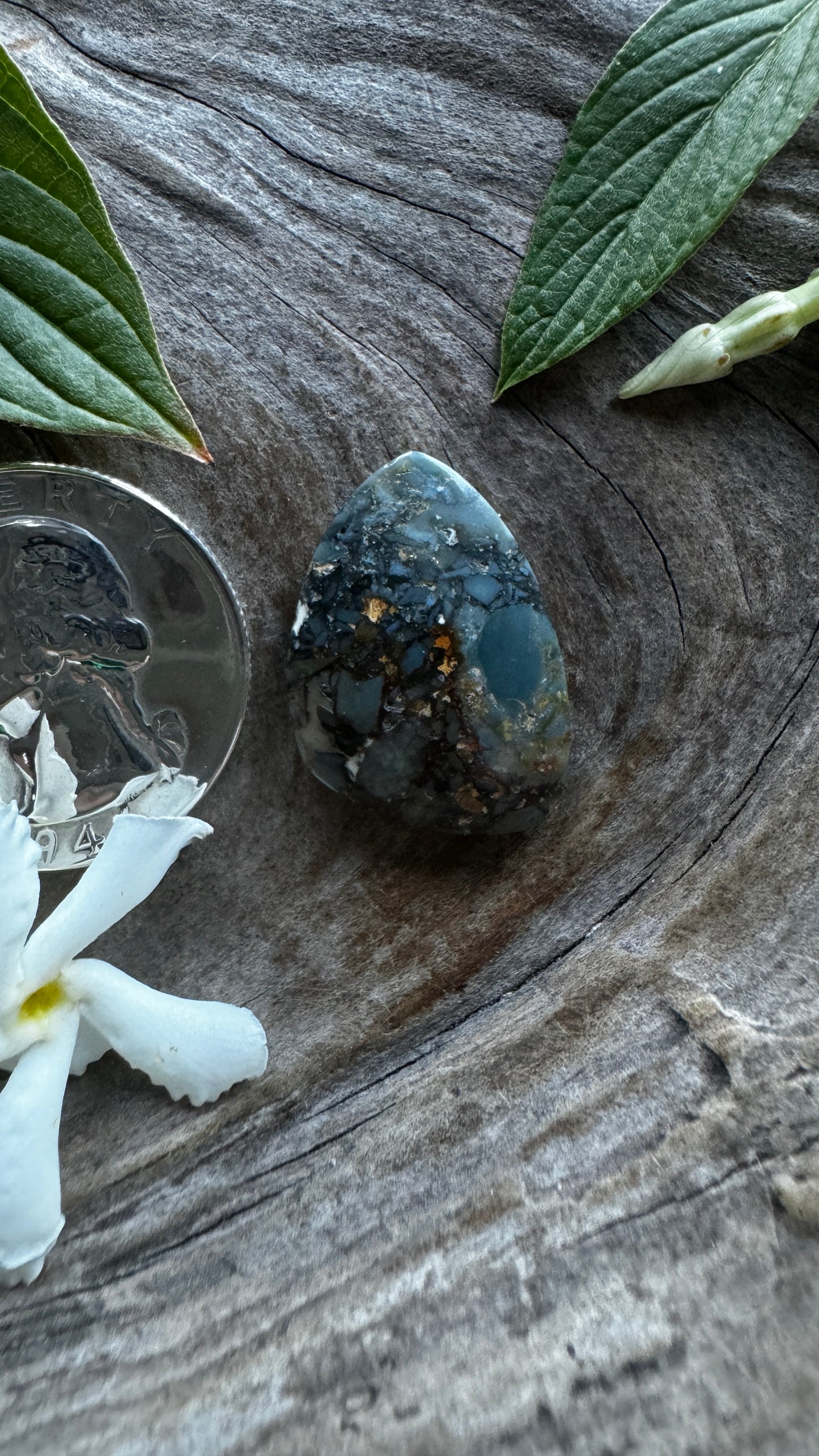 Mystery Jasper (Oregon Coast) w/ pyrite