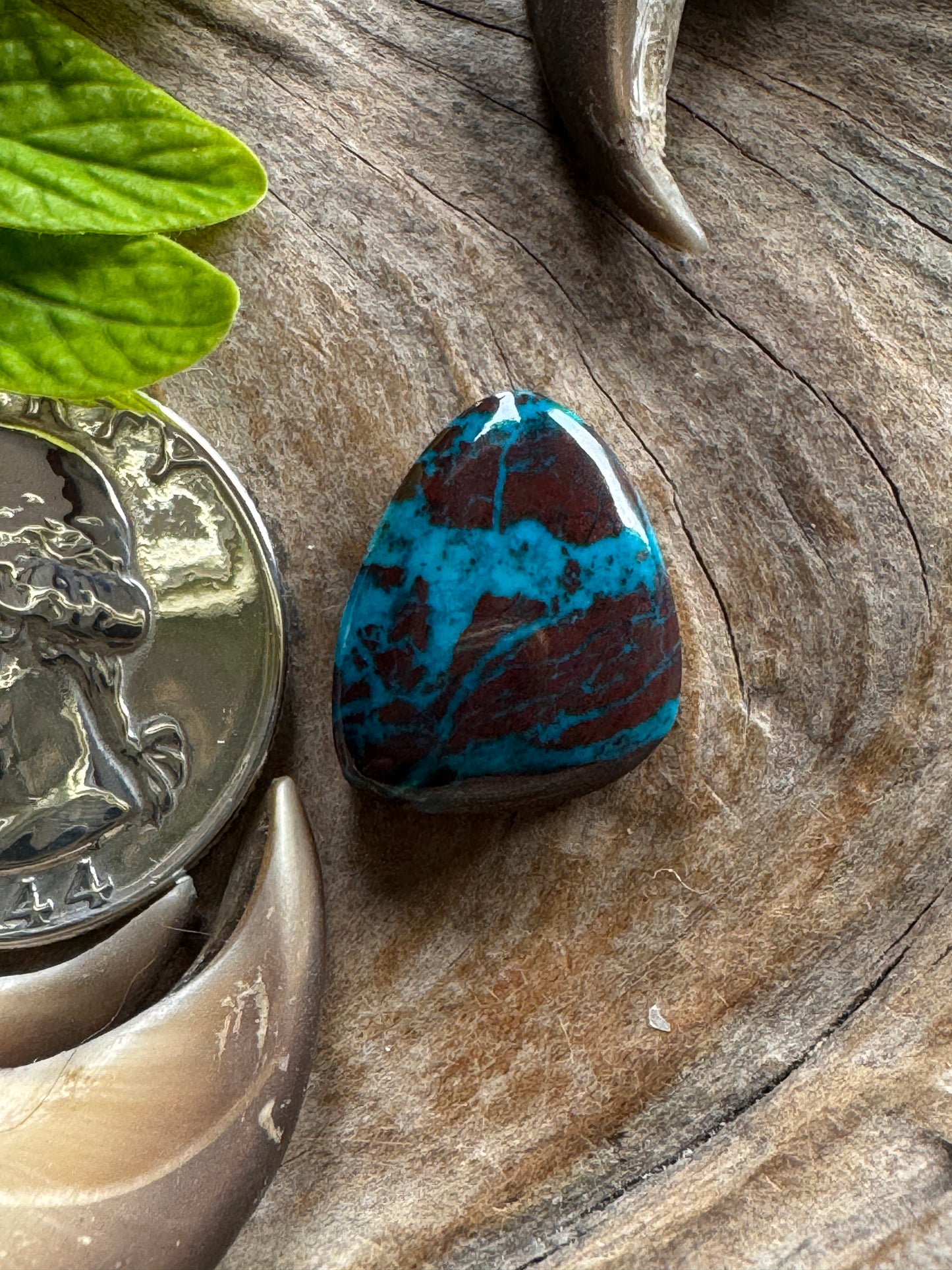 Rod's Shattuckite