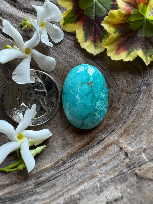Old Carico Lake Turquoise - natural perfection (1968-70)