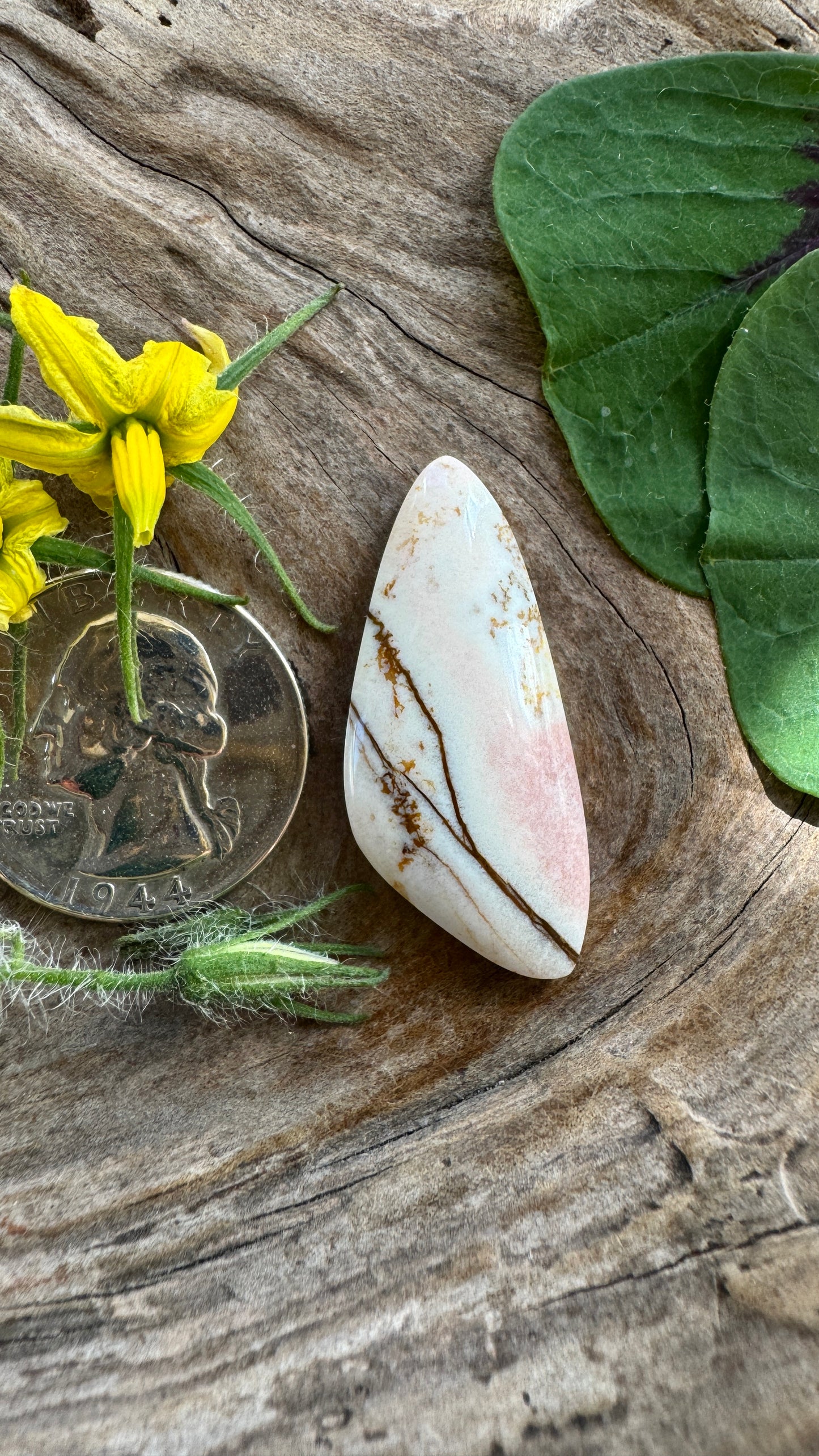 Oregon Sunset Jasper