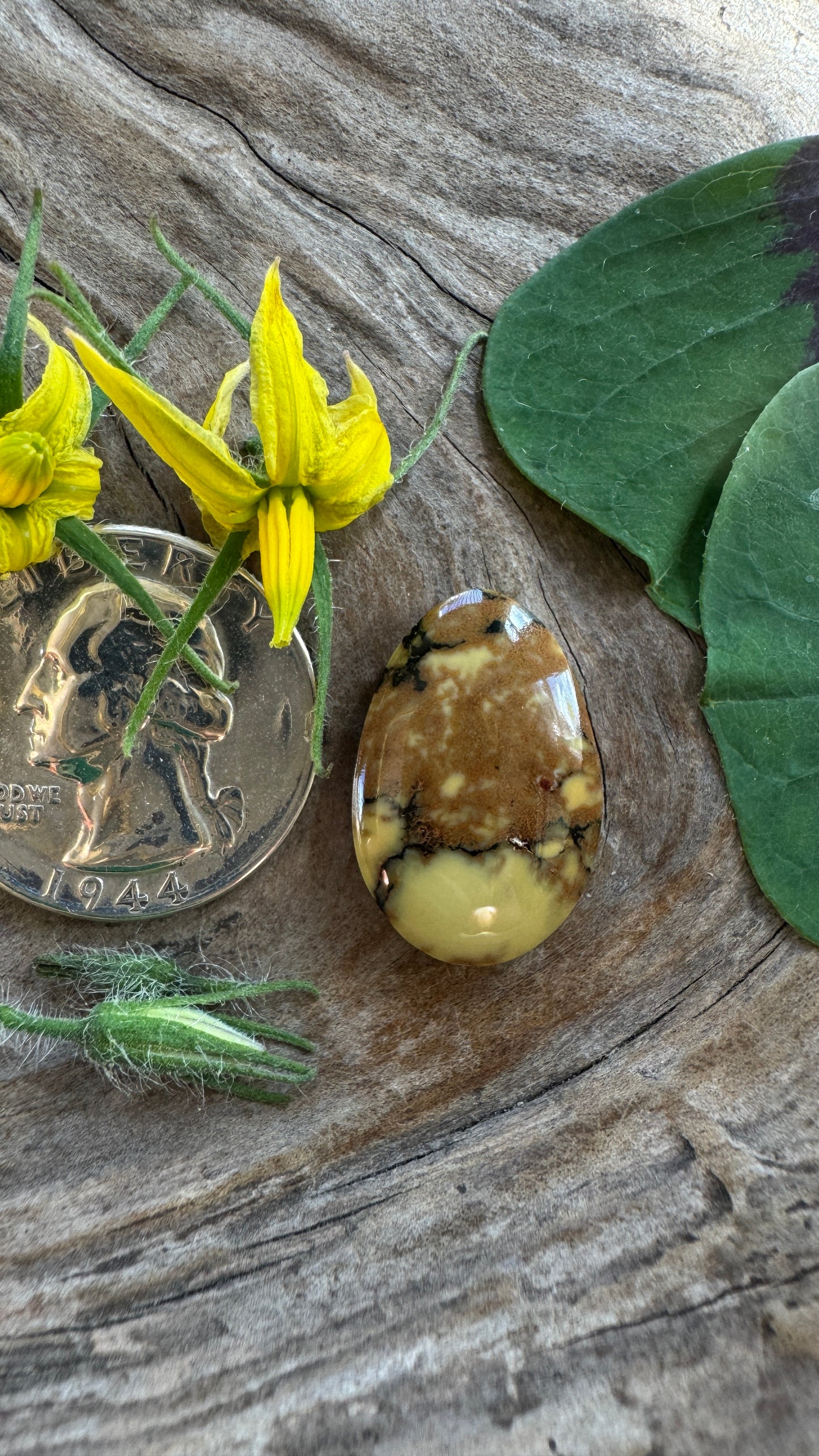 Aloe Variscite