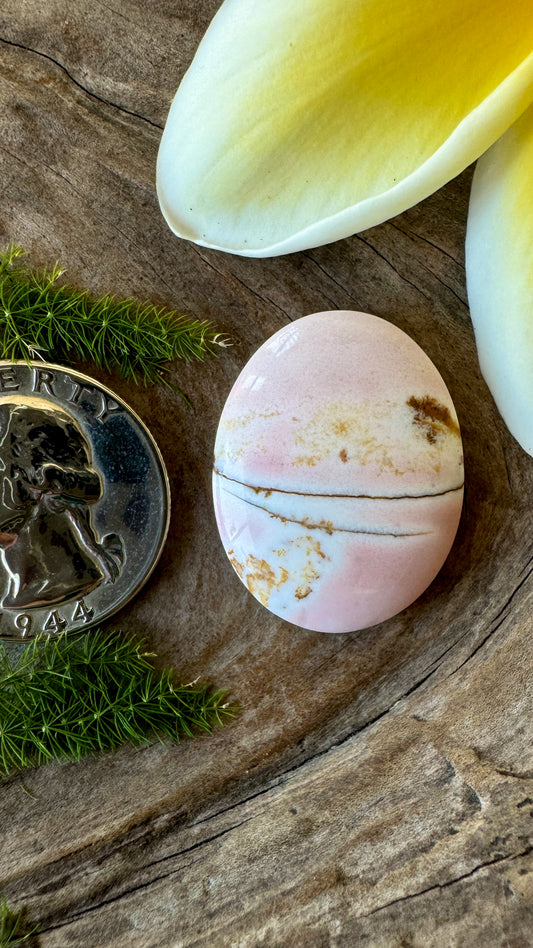 Oregon Sunset Jasper ~ Big Pink/yellow/brown/striped beauty