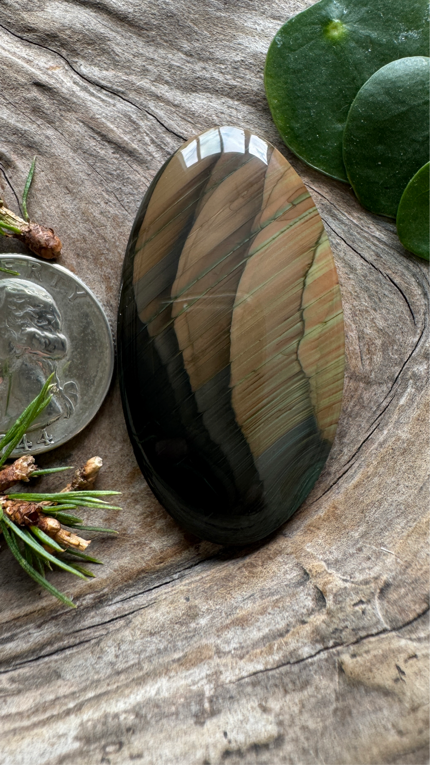 HUGE RARE Van Deusen Jasper- Oregon's Finest