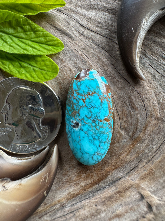 Natural Indian Mountain Turquoise