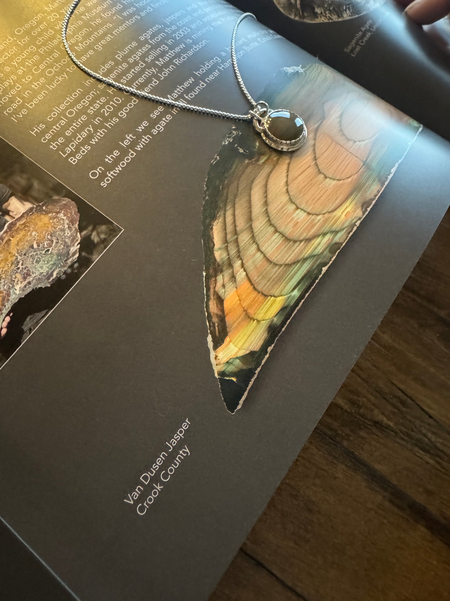 Oregon's Van Deusen Jasper Necklace