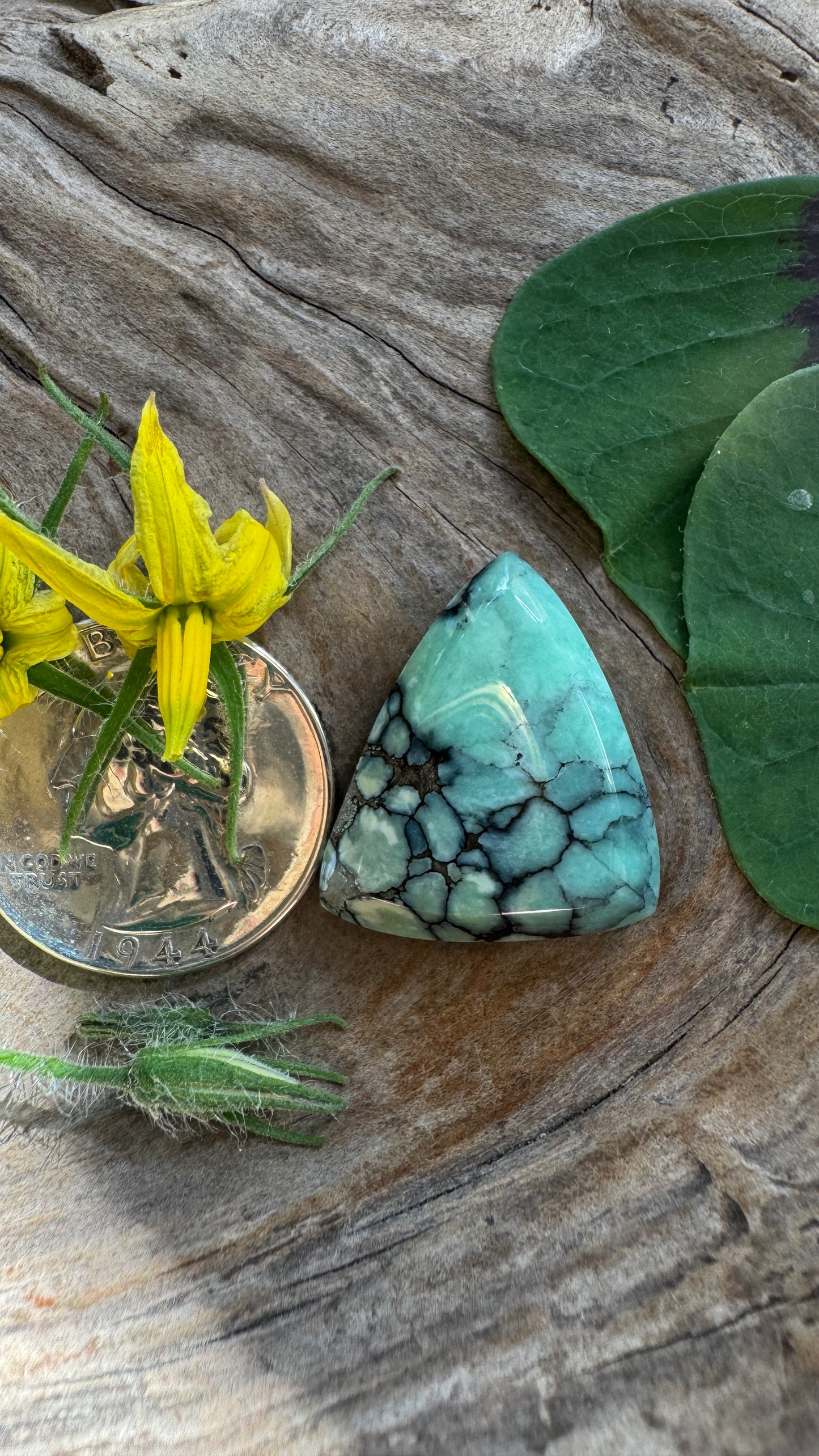 Desert Bloom Variscite - facet edge