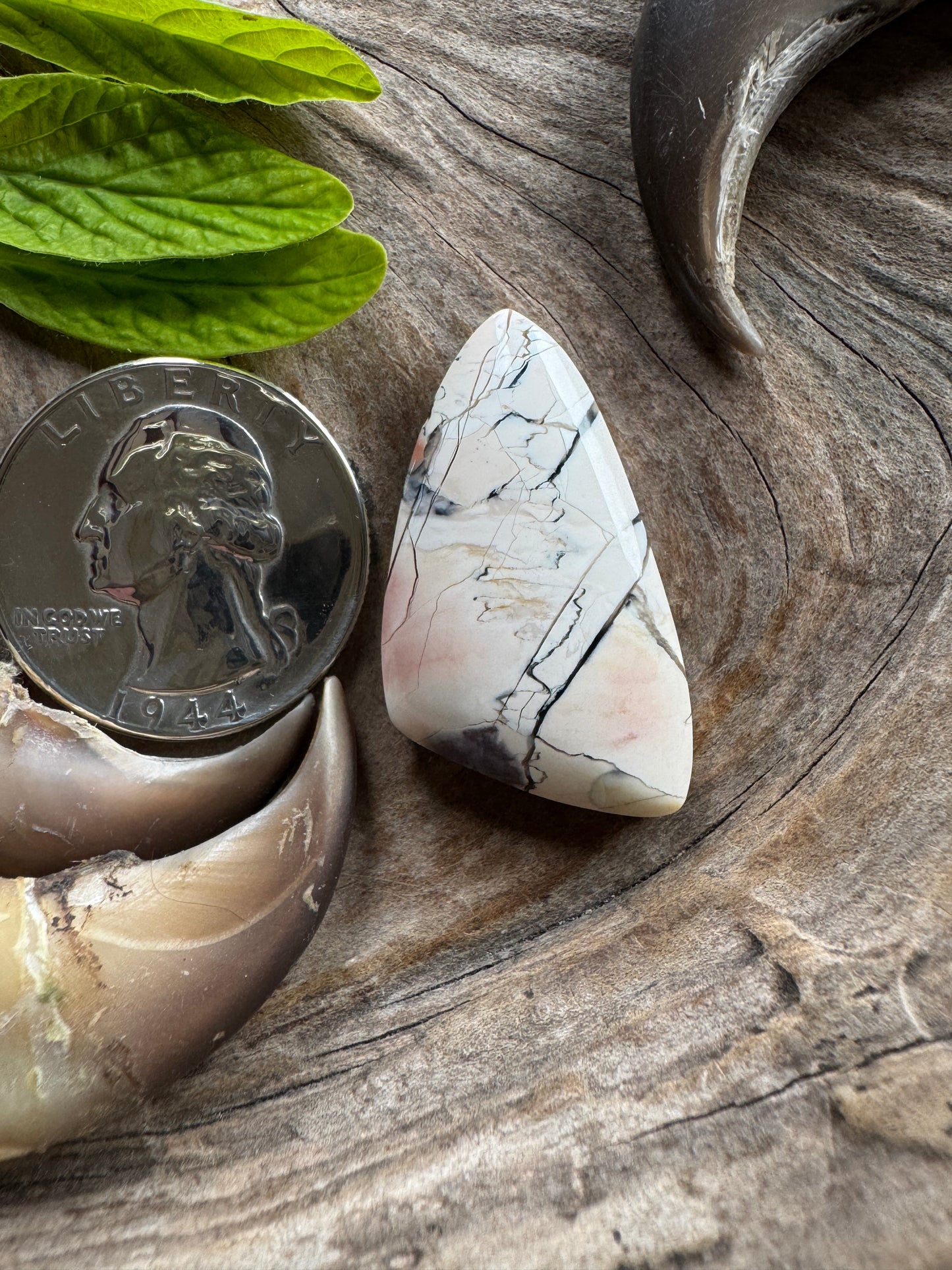 Tiffany Stone BIGGIE